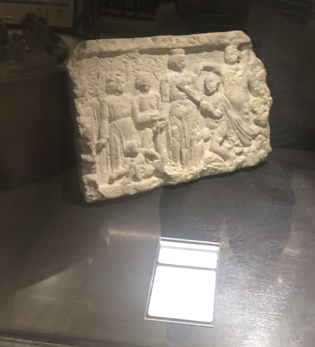 Visite du Musée d’Anthropologie préhistorique  de Monaco