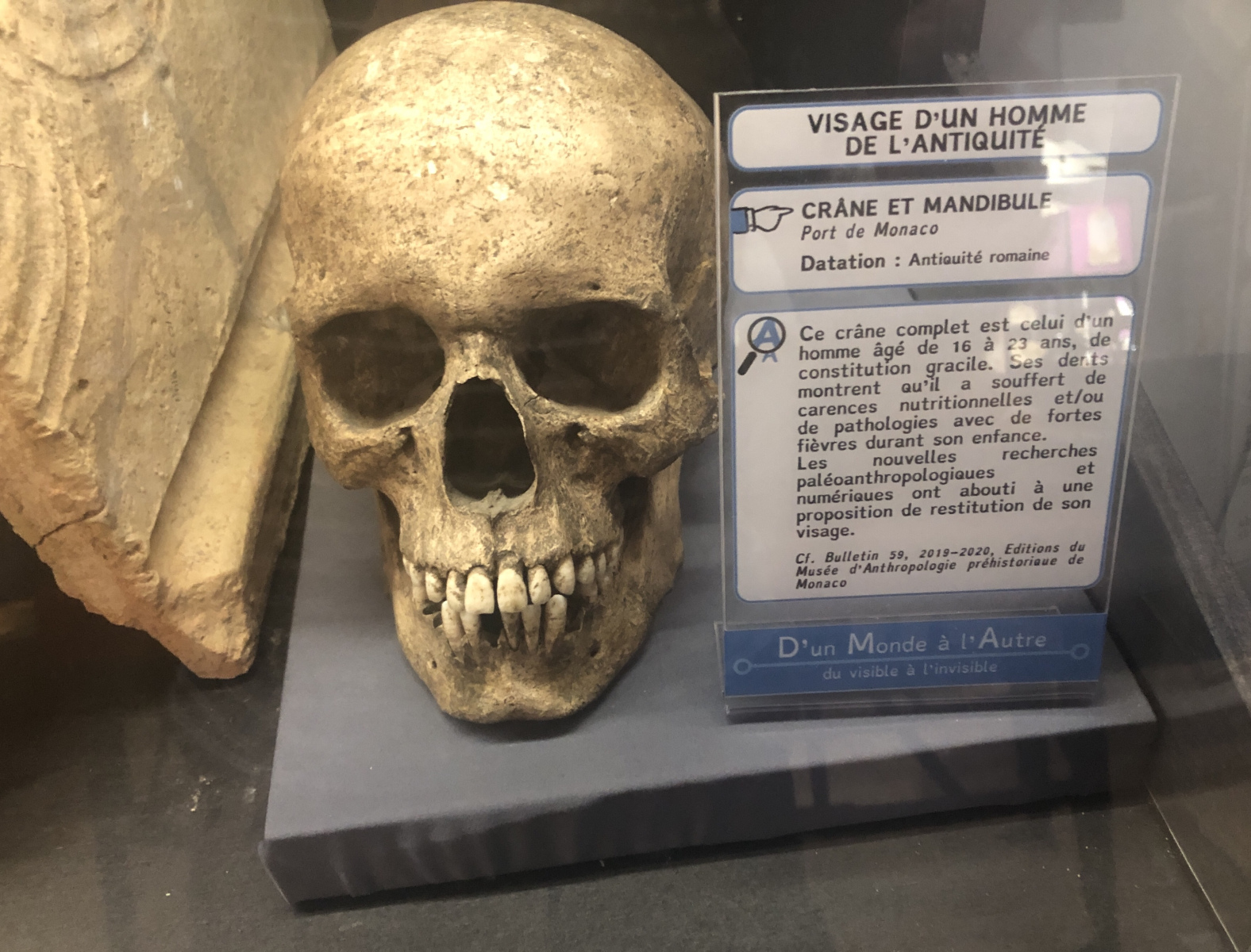 Visite du Musée d’Anthropologie préhistorique  de Monaco