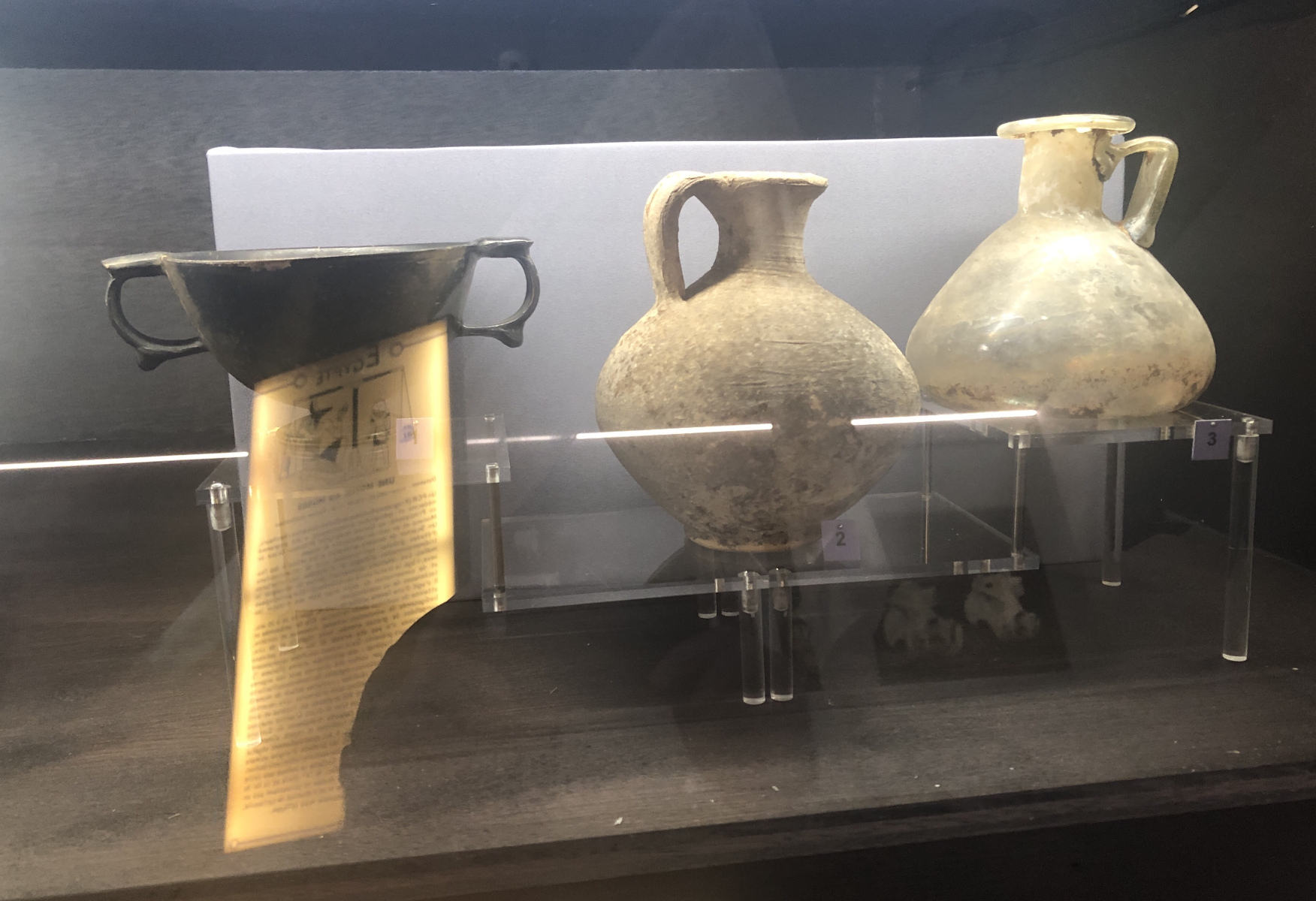 Visite du Musée d’Anthropologie préhistorique  de Monaco