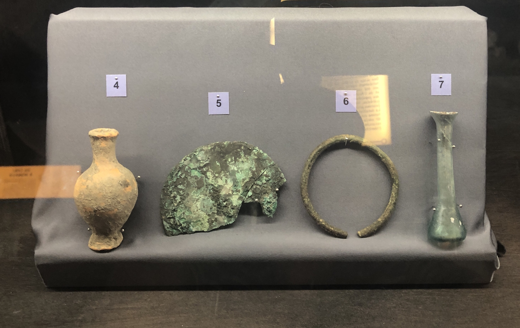 Visite du Musée d’Anthropologie préhistorique  de Monaco