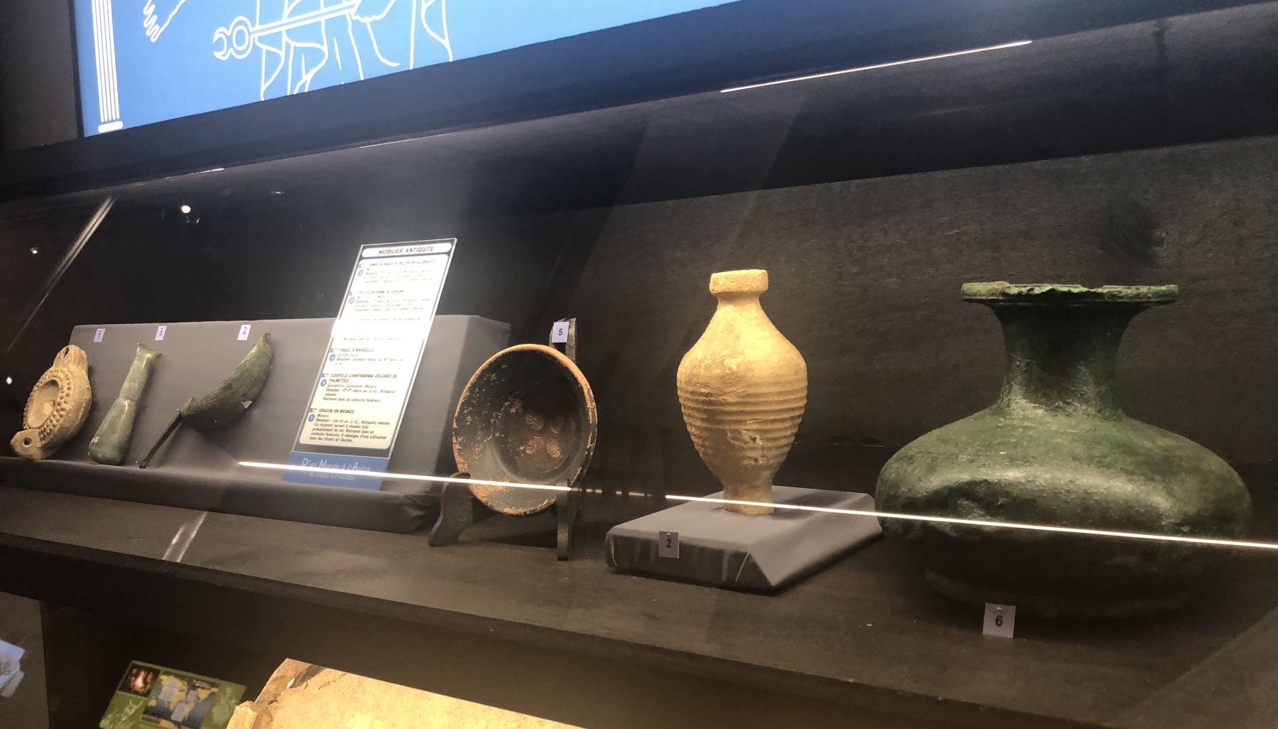 Visite du Musée d’Anthropologie préhistorique  de Monaco