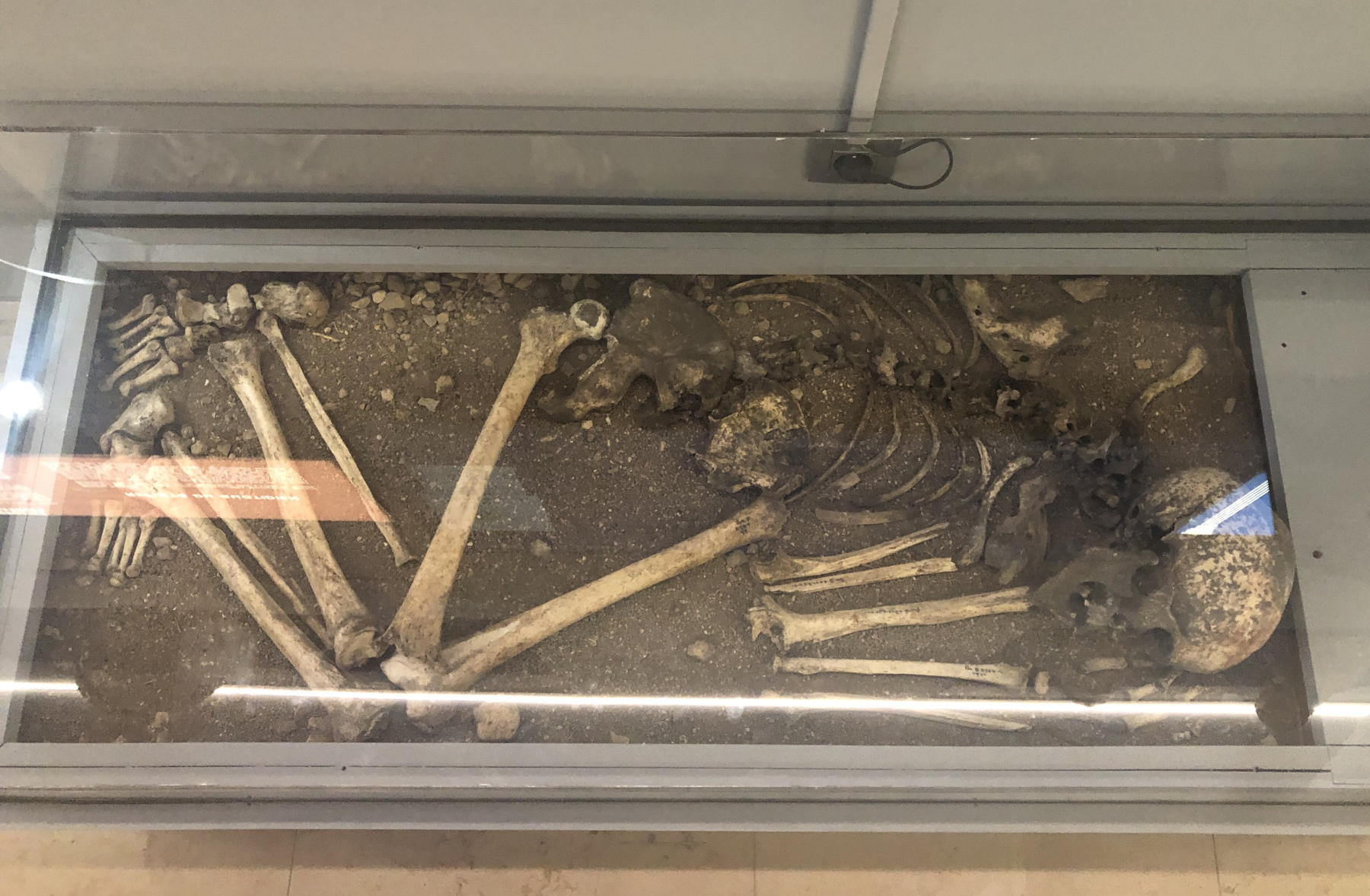 Visite du Musée d’Anthropologie préhistorique  de Monaco