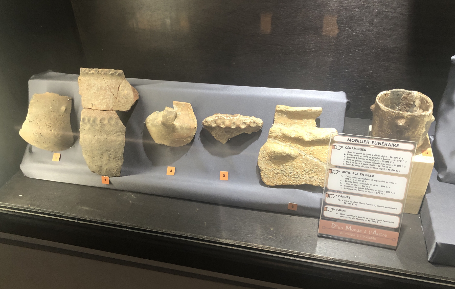Visite du Musée d’Anthropologie préhistorique  de Monaco