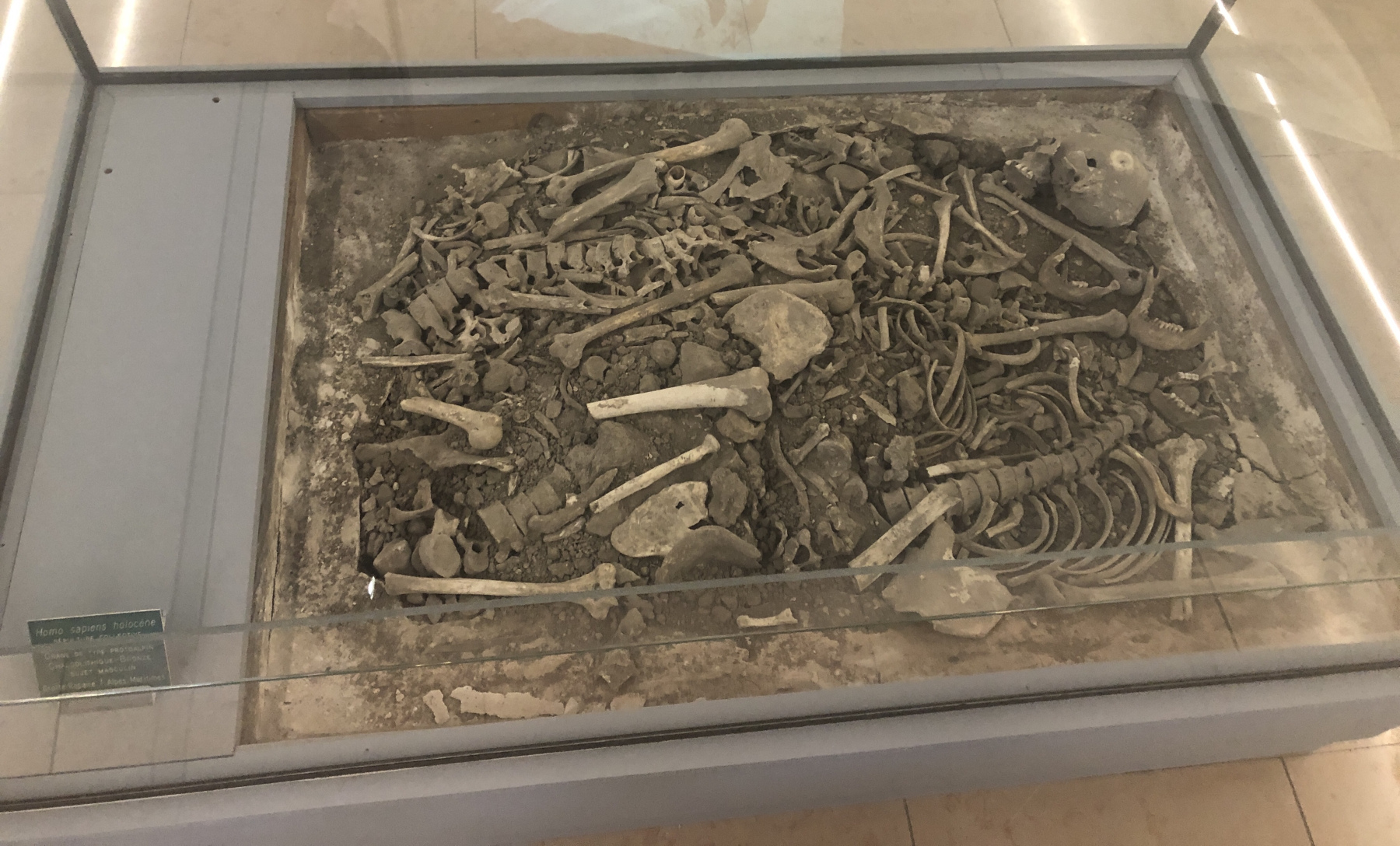 Visite du Musée d’Anthropologie préhistorique  de Monaco