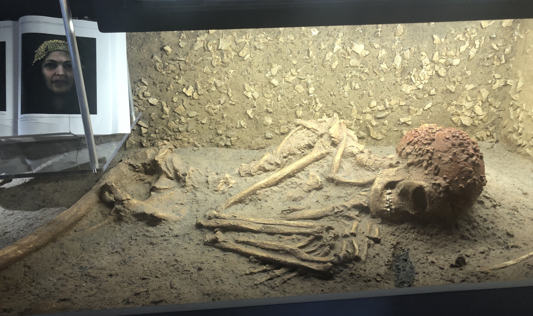 Visite du Musée d’Anthropologie préhistorique  de Monaco
