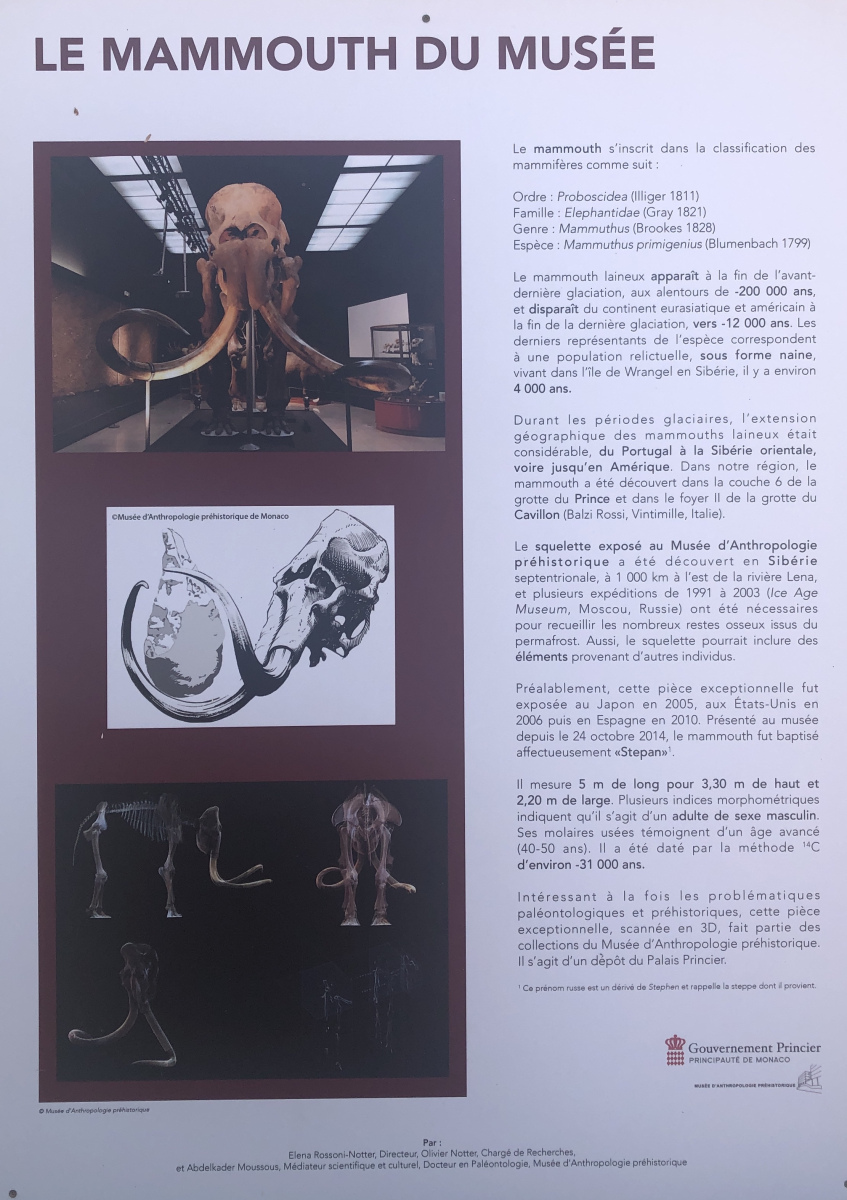Visite du Musée d’Anthropologie préhistorique  de Monaco