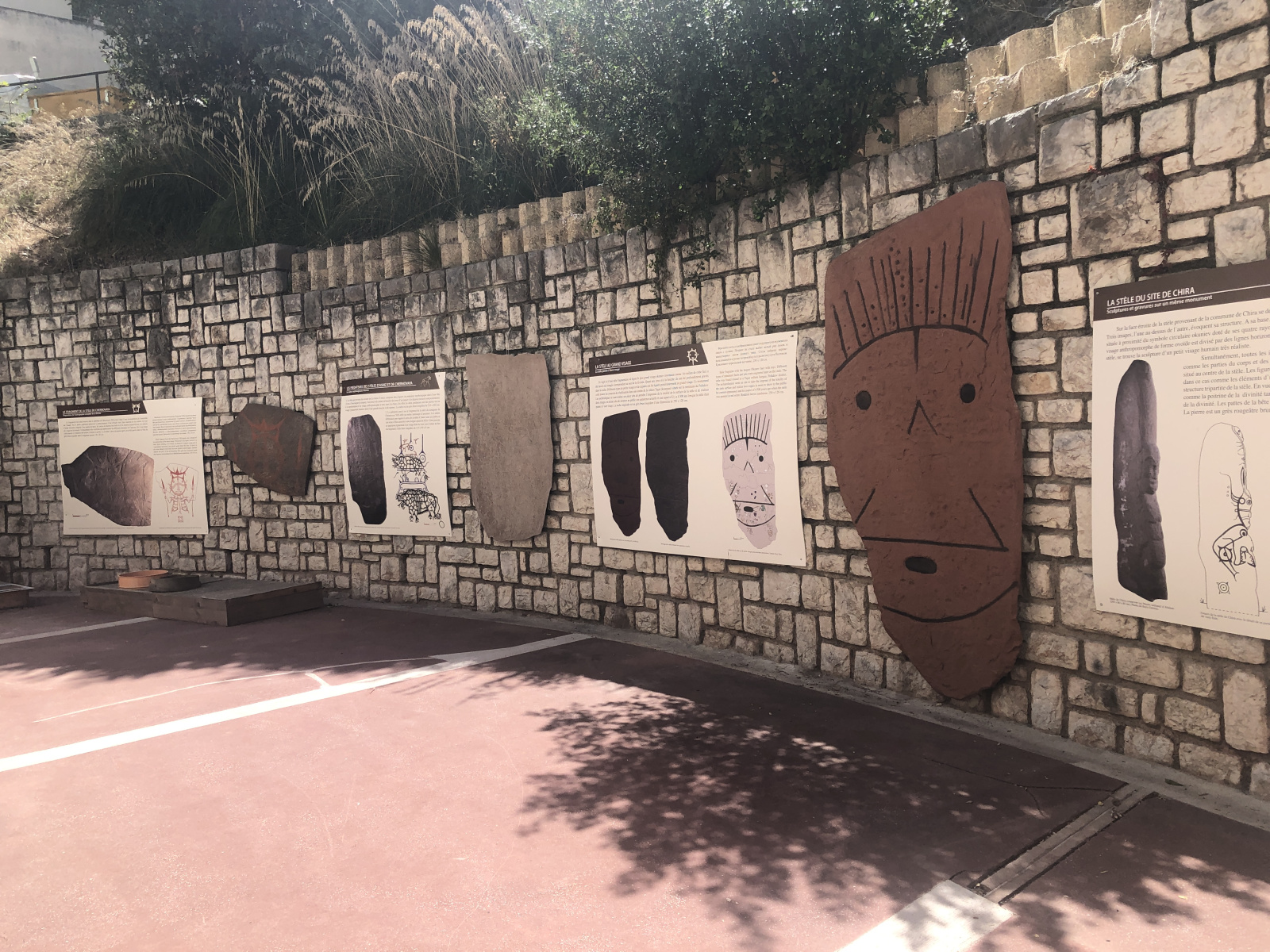 Visite du Musée d’Anthropologie préhistorique  de Monaco
