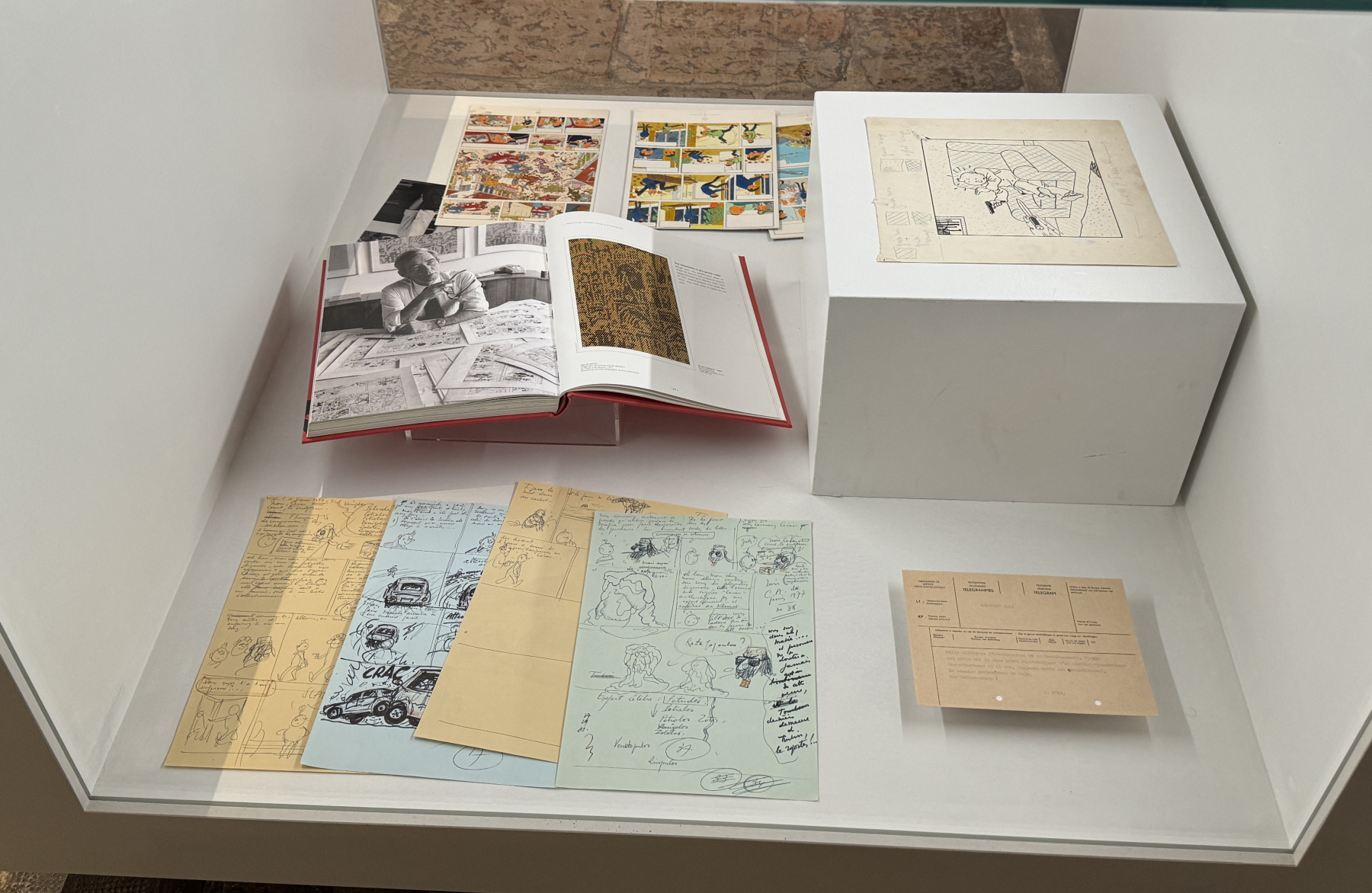 Visite de la superbe exposition 