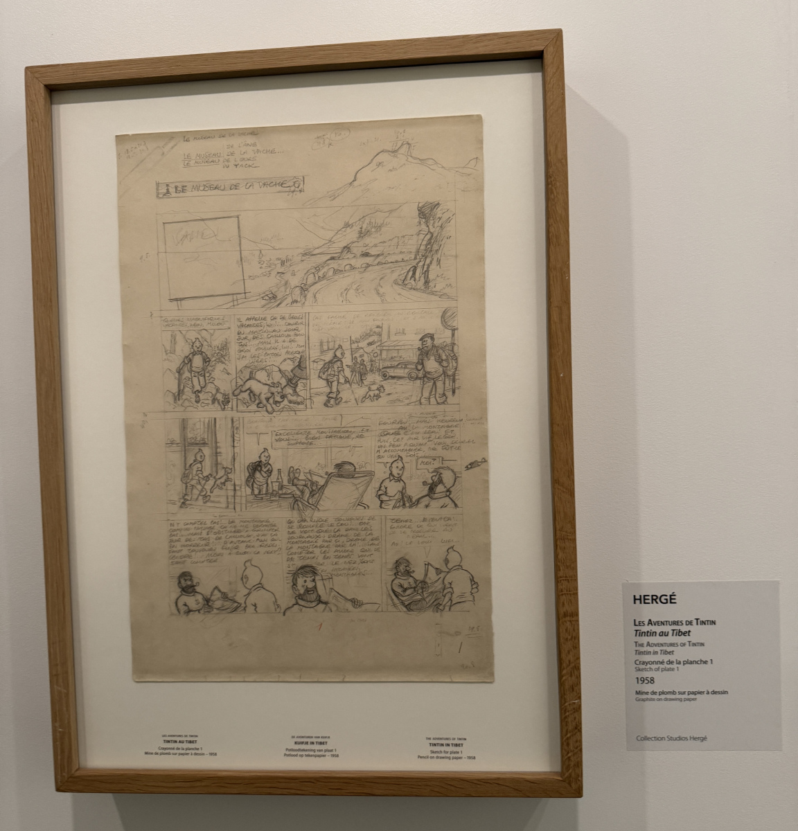 Visite de la superbe exposition 
