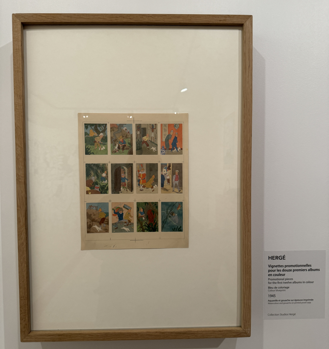 Visite de la superbe exposition 