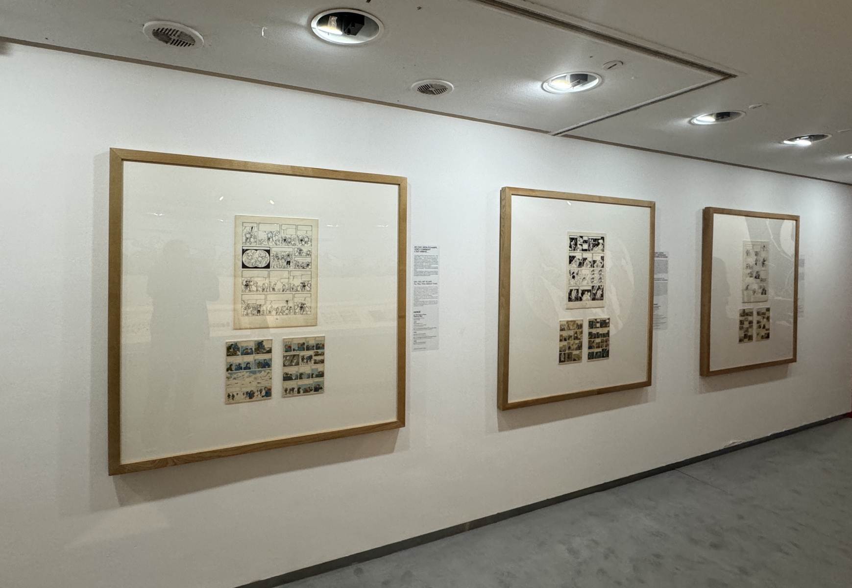 Visite de la deuxième partie de l'exposition sur Hergé