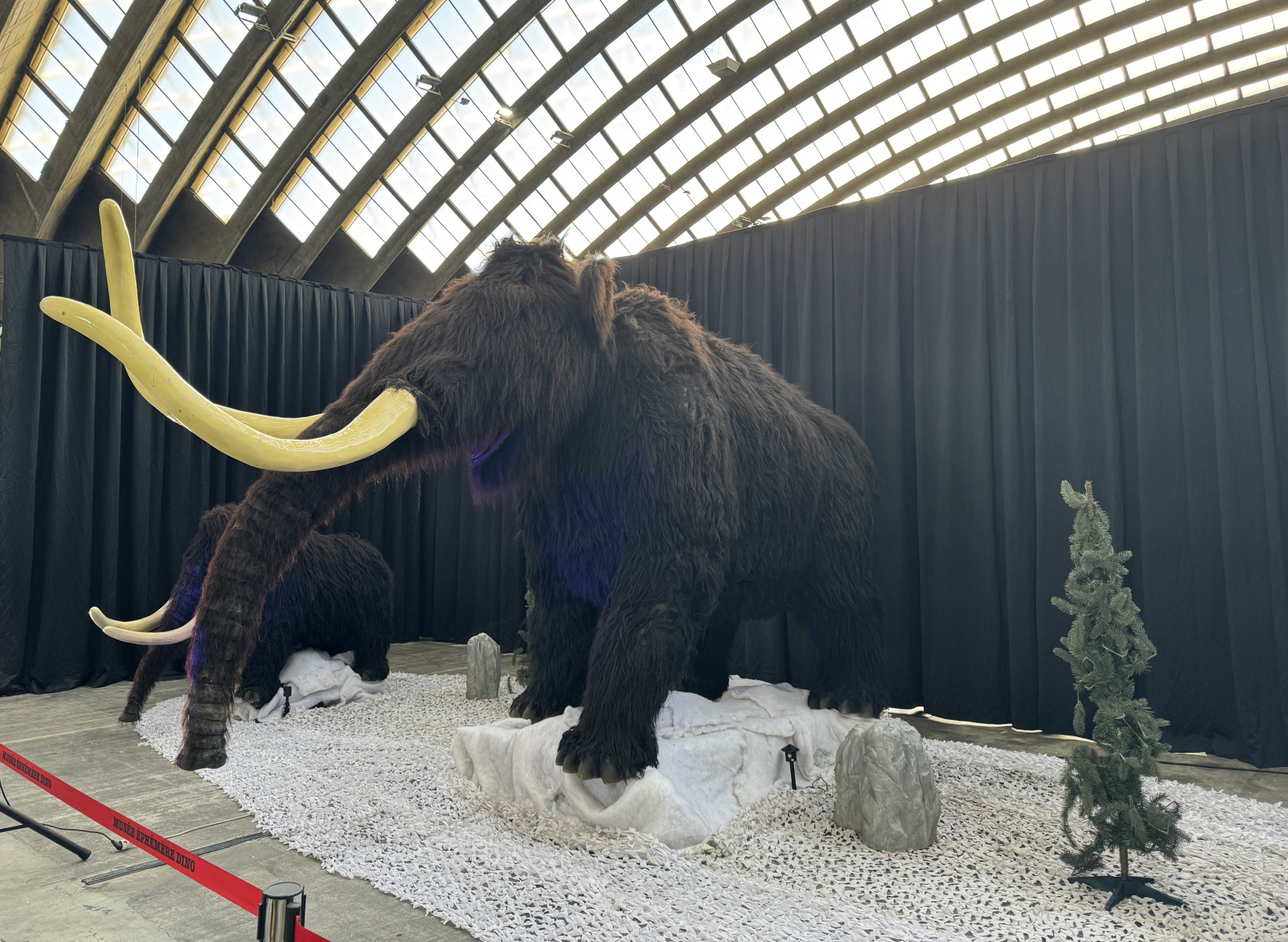Des dinosaures au Palais Des Expositions
