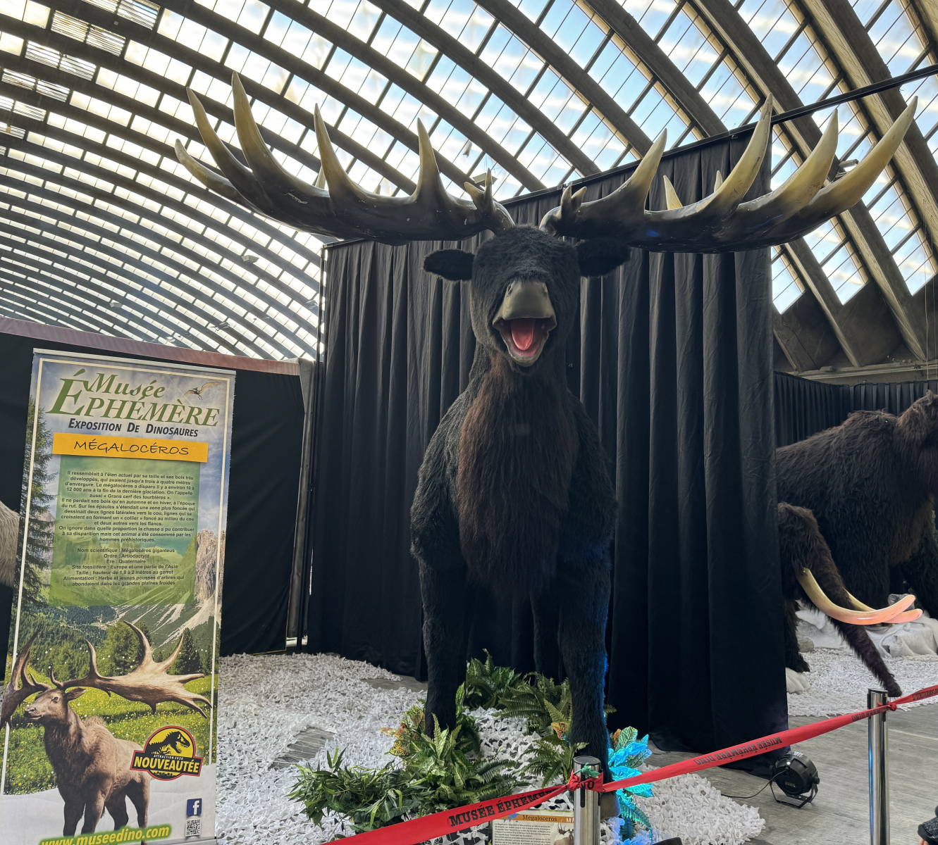 Des dinosaures au Palais Des Expositions