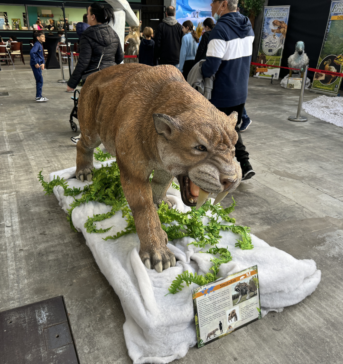 Des dinosaures au Palais Des Expositions