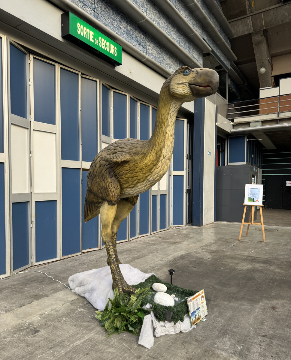 Des dinosaures au Palais Des Expositions