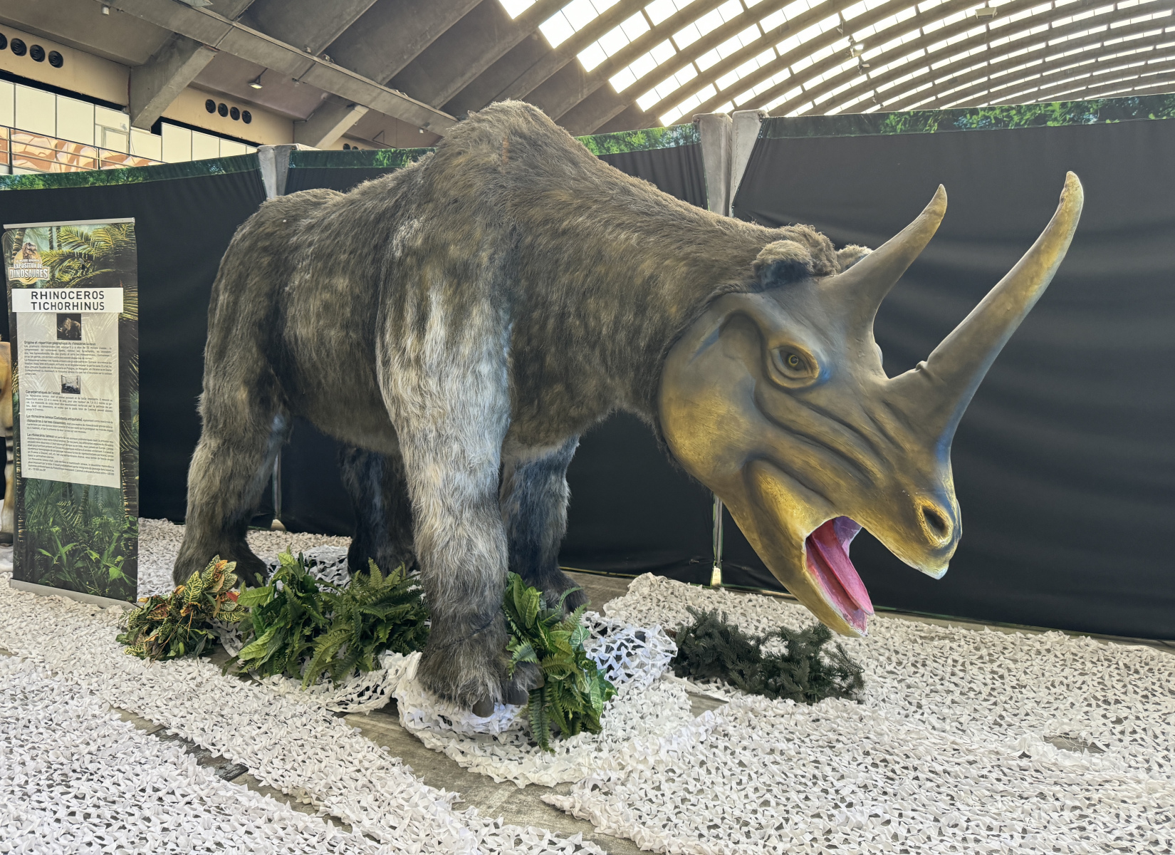 Des dinosaures au Palais Des Expositions
