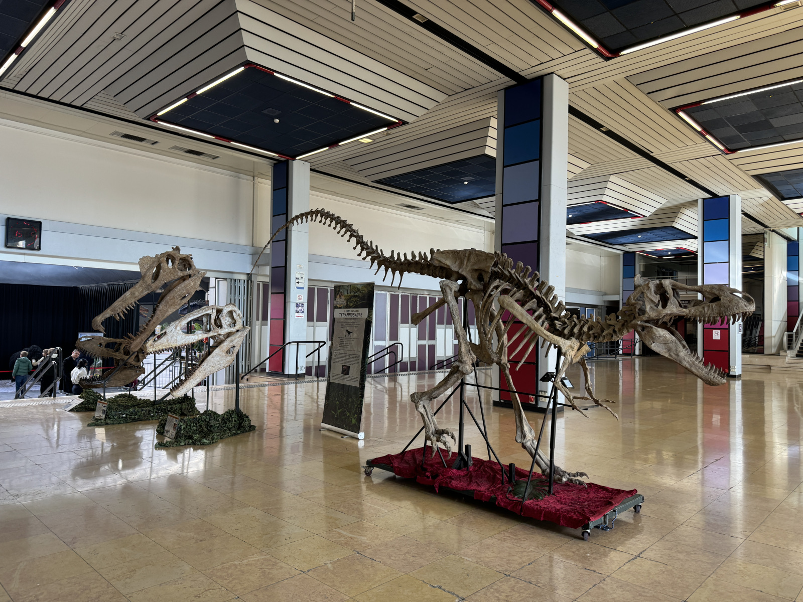 Des dinosaures au Palais Des Expositions