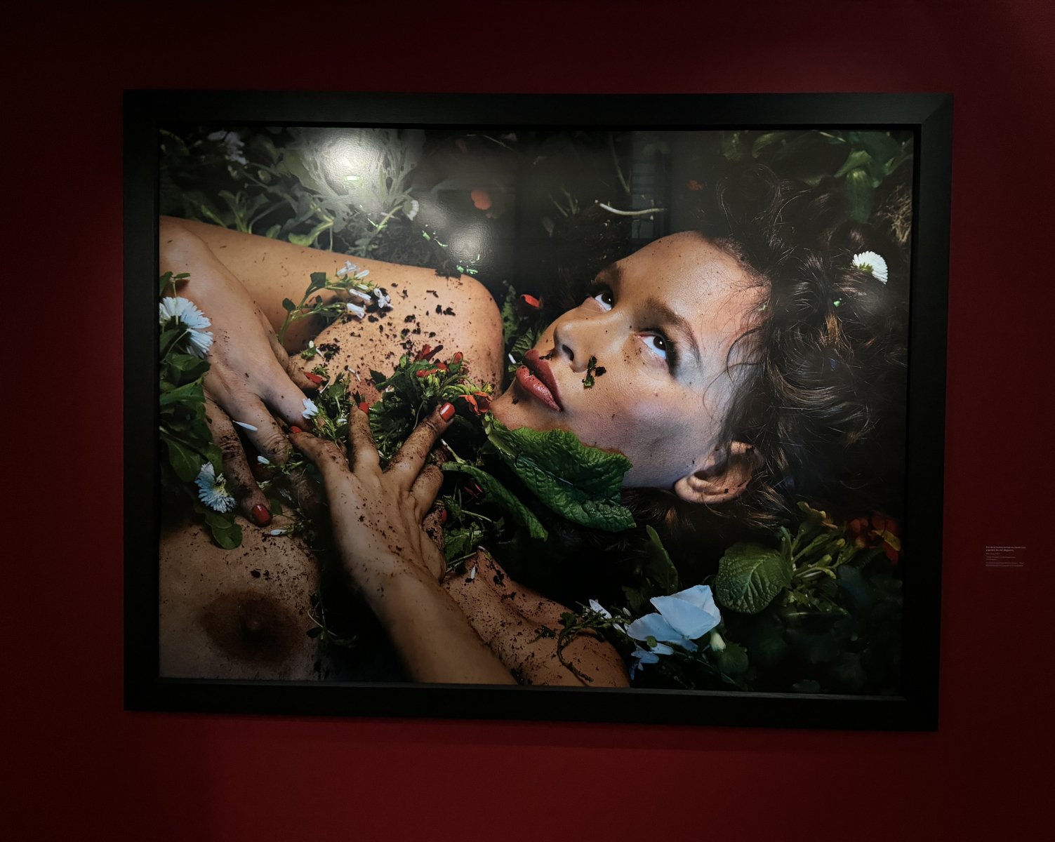 Exposition 