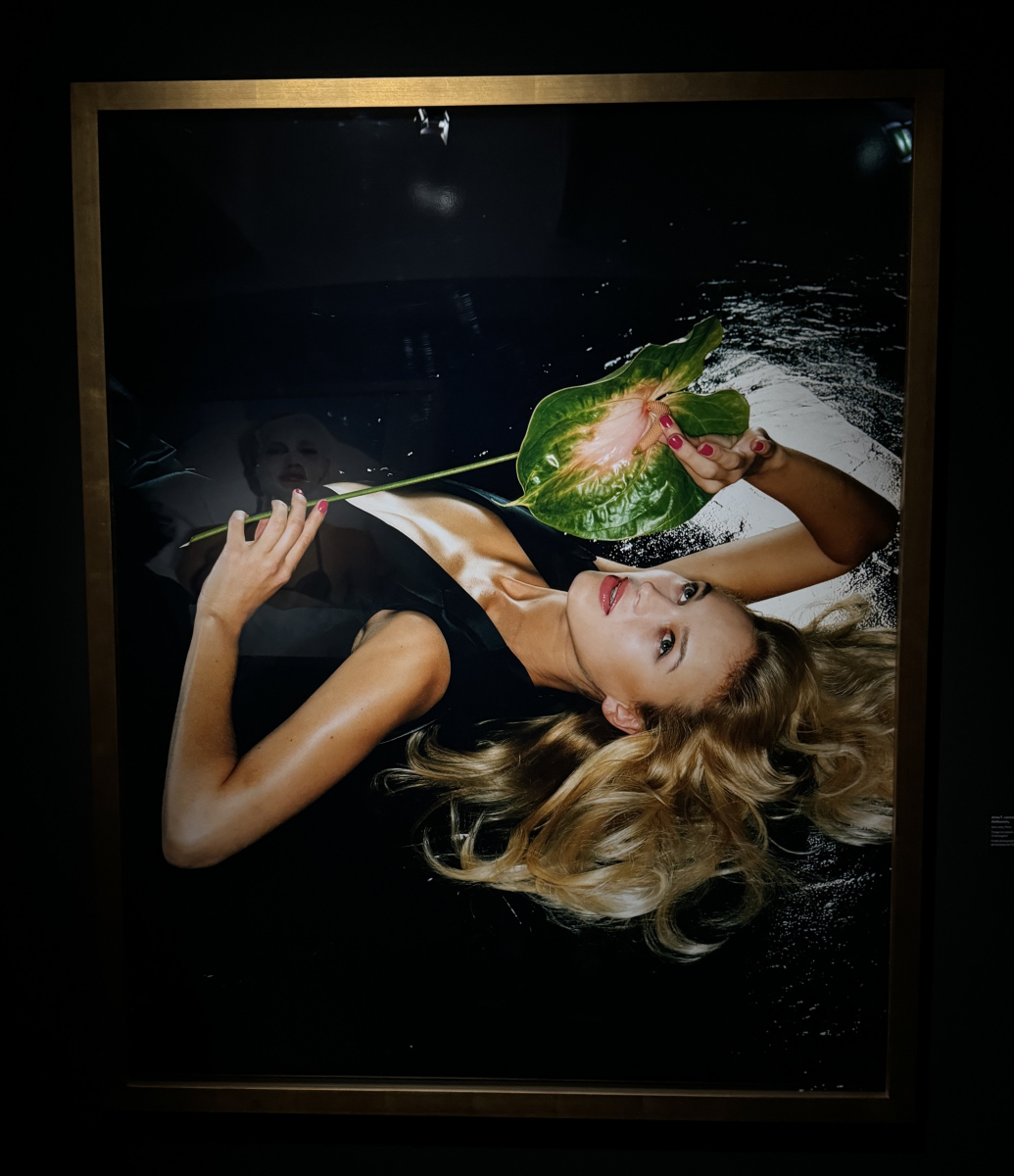 Exposition 