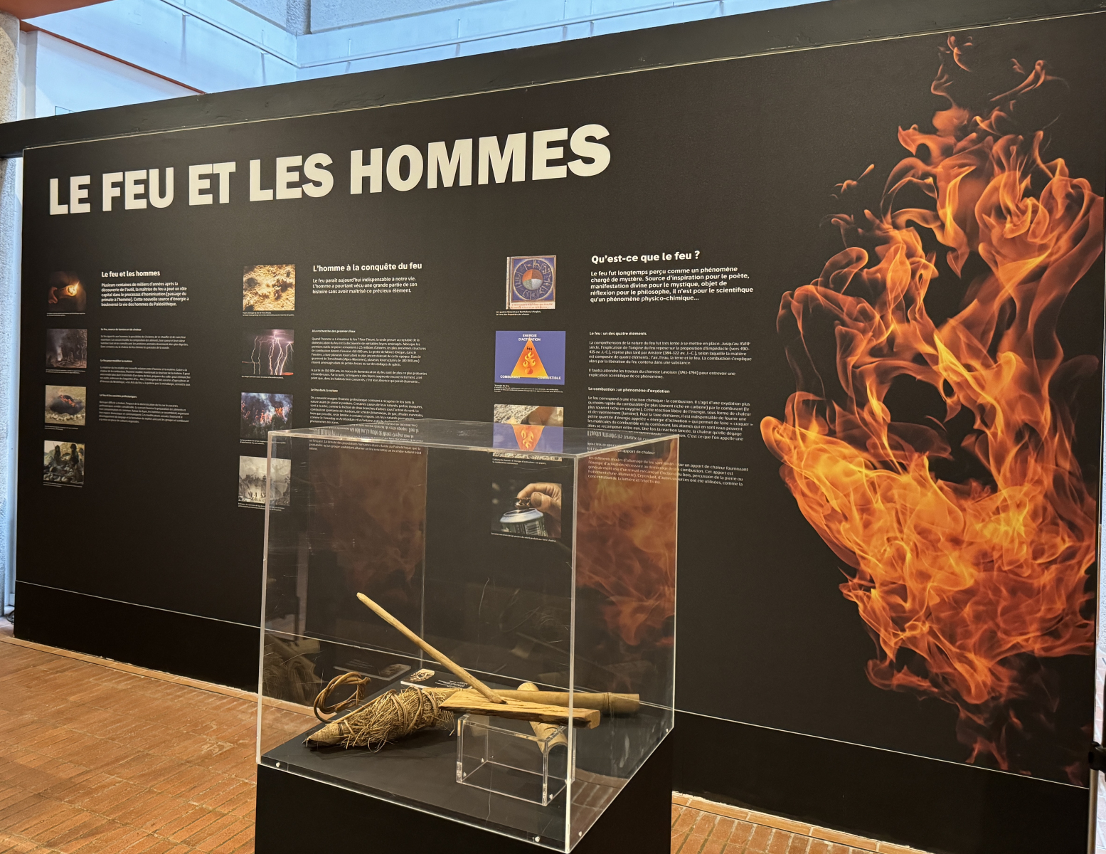 Exposition 