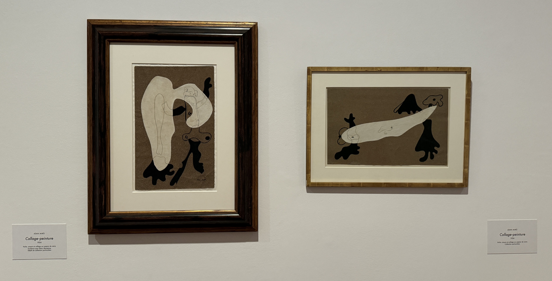 Visite de l'exposition 