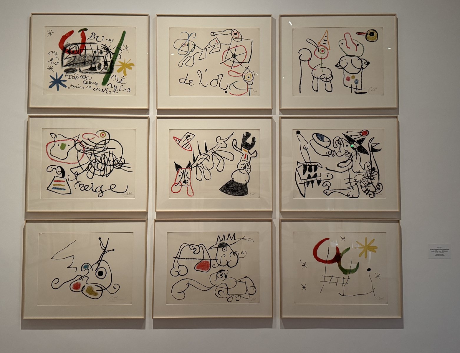 Visite de l'exposition 