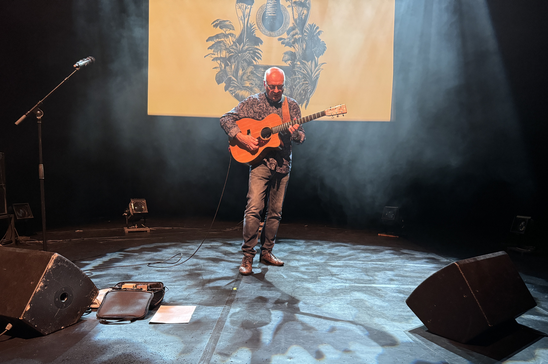 Concert de Jacques Stotzem