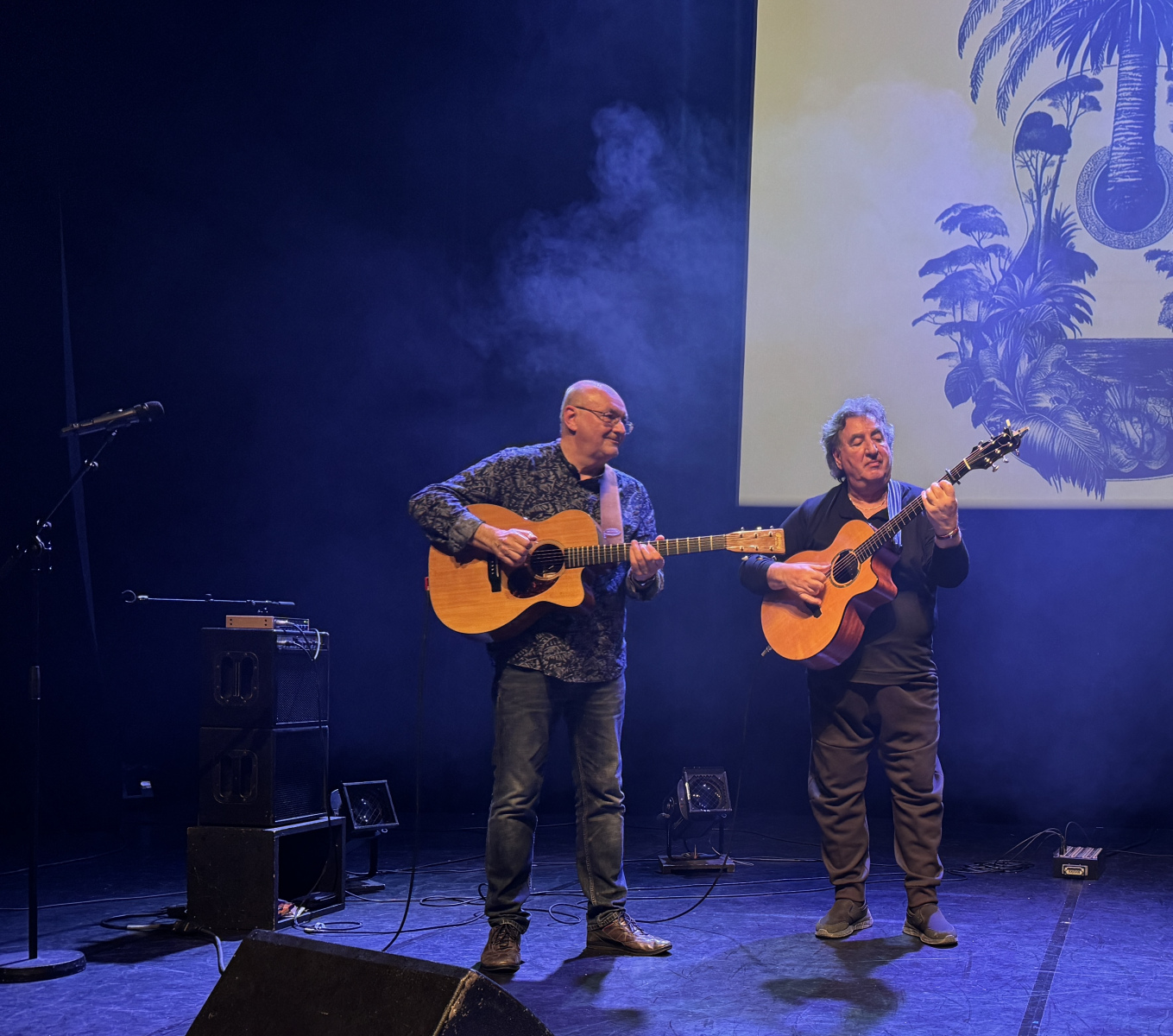 Concert de Jacques Stotzem