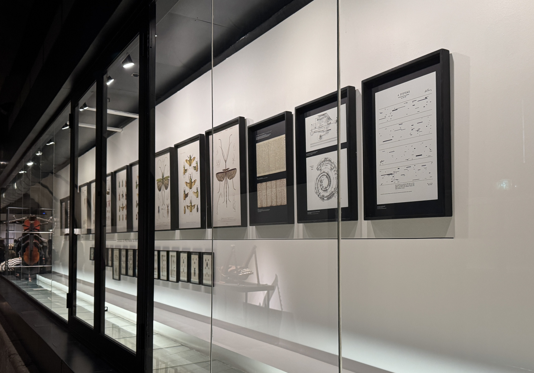 Exposition 
