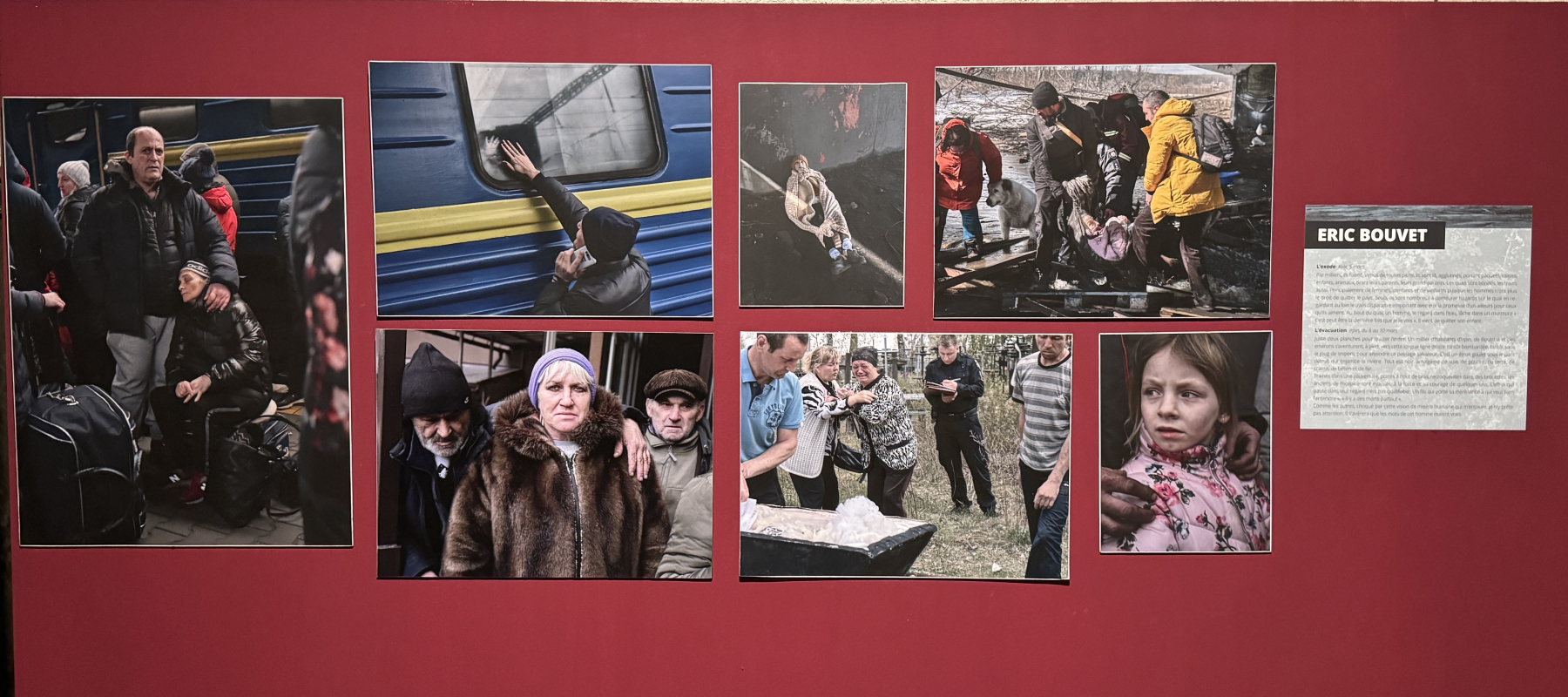 Visite de l'exposition 