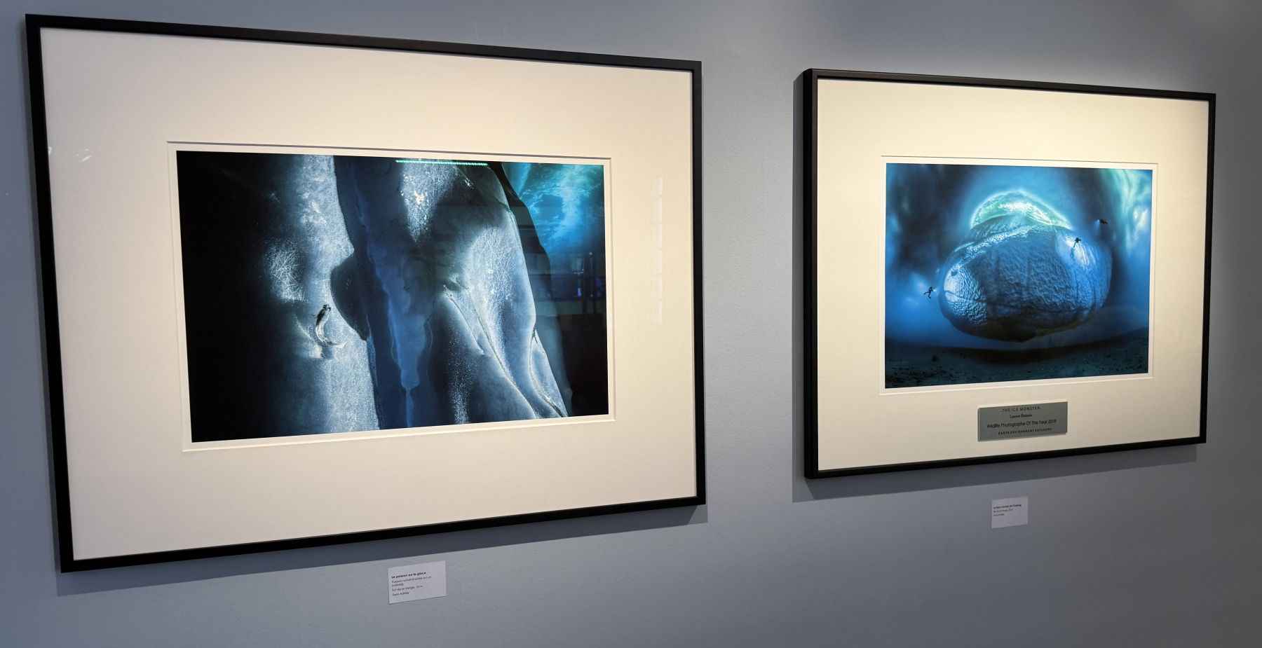 Exposition Laurent BALLESTA – Mers et Mystères