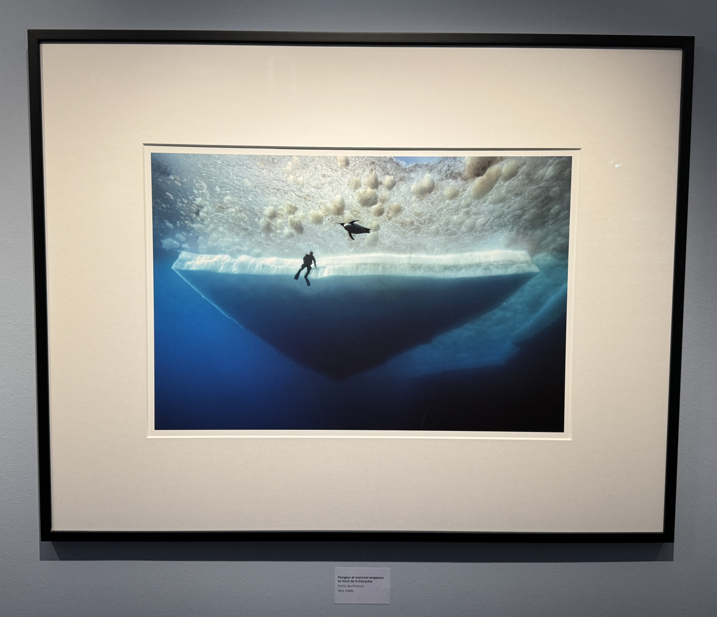 Exposition Laurent BALLESTA – Mers et Mystères