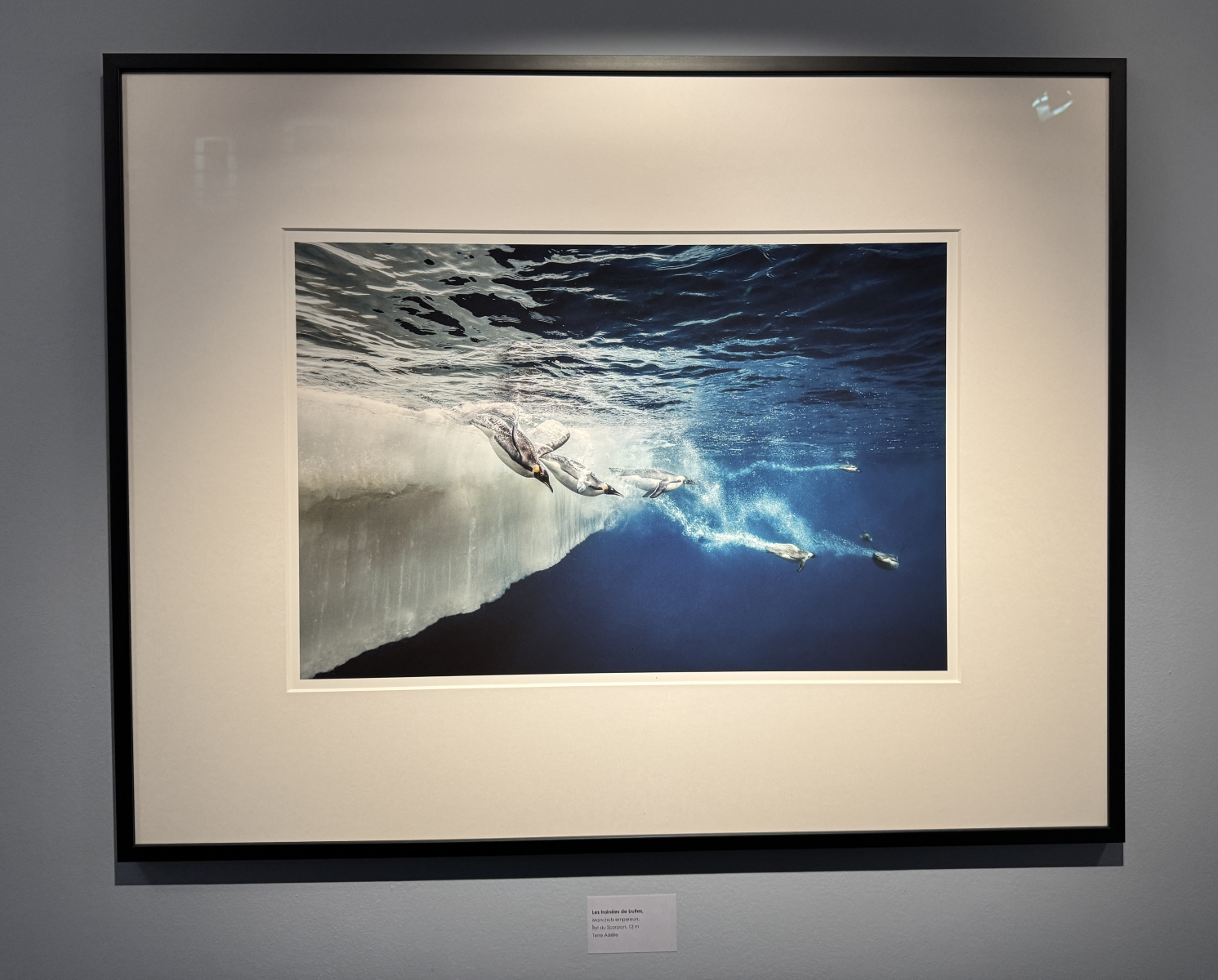 Exposition Laurent BALLESTA – Mers et Mystères