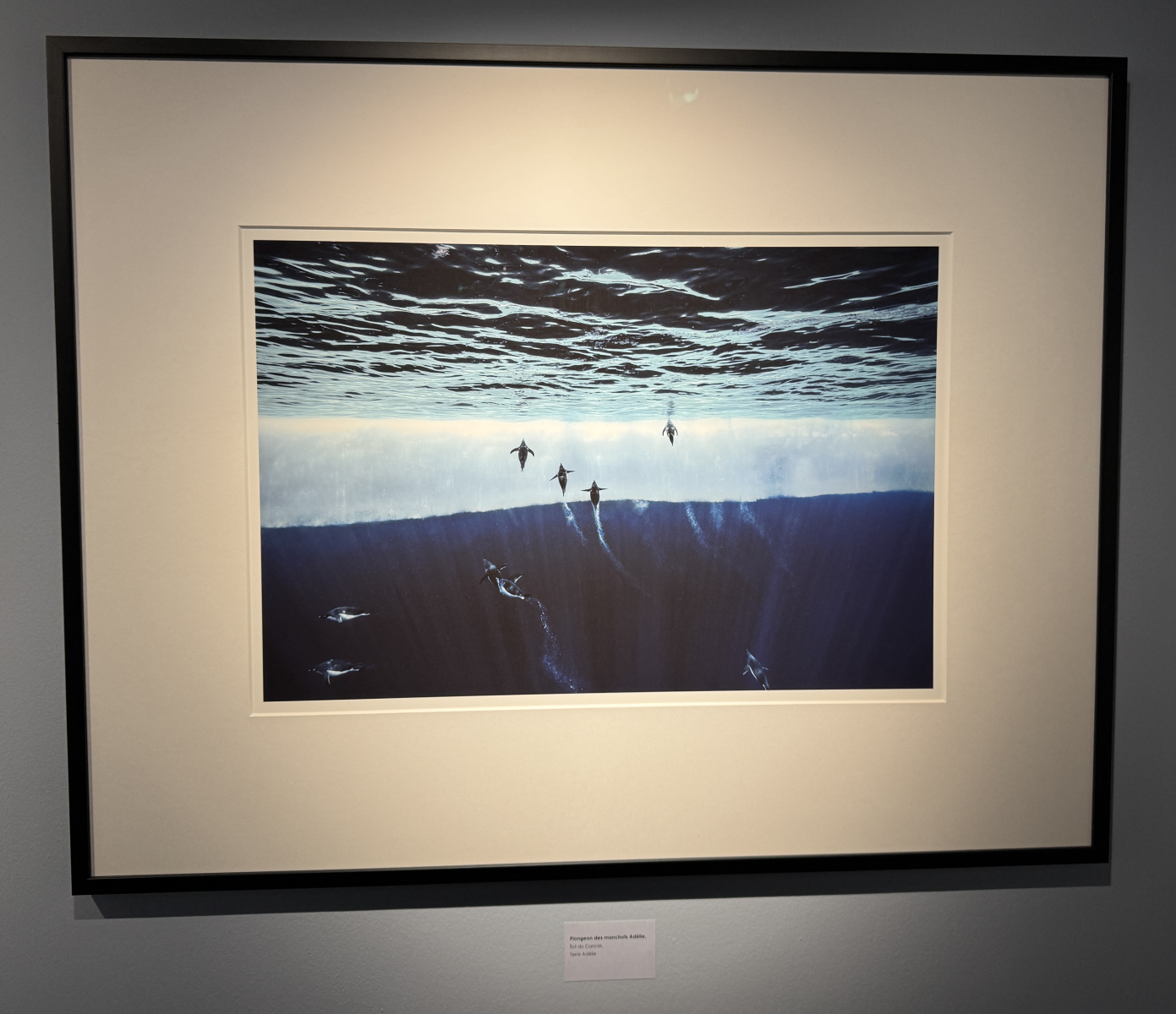 Exposition Laurent BALLESTA – Mers et Mystères