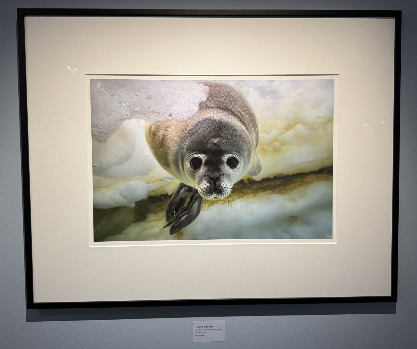 Exposition Laurent BALLESTA – Mers et Mystères