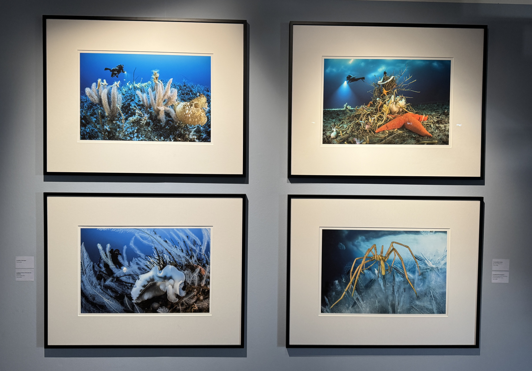 Exposition Laurent BALLESTA – Mers et Mystères