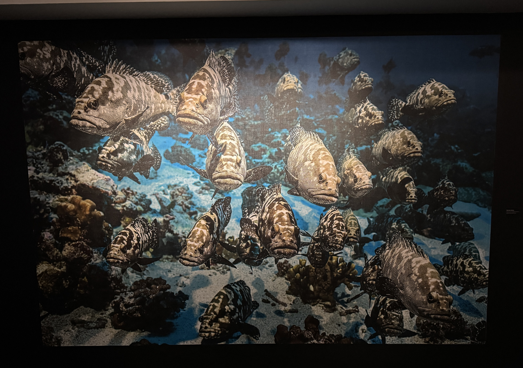Exposition Laurent BALLESTA – Mers et Mystères