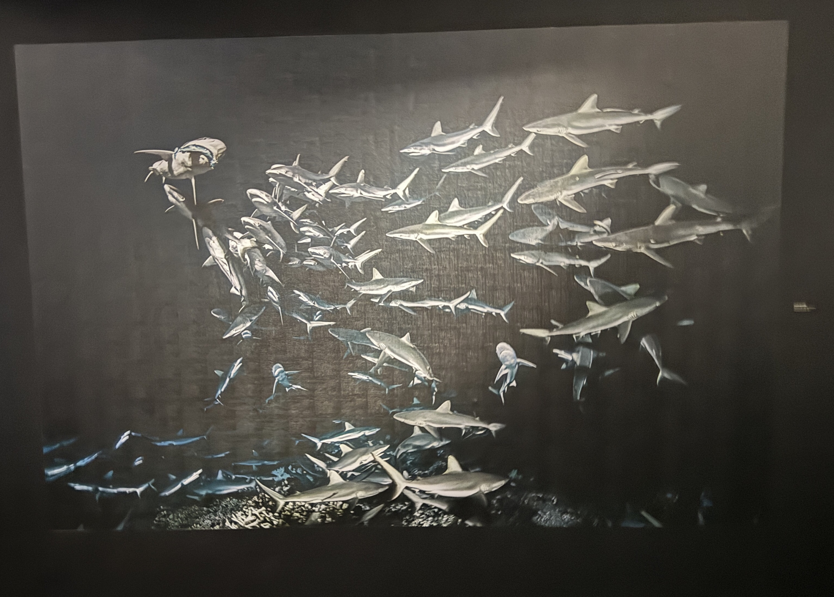 Exposition Laurent BALLESTA – Mers et Mystères