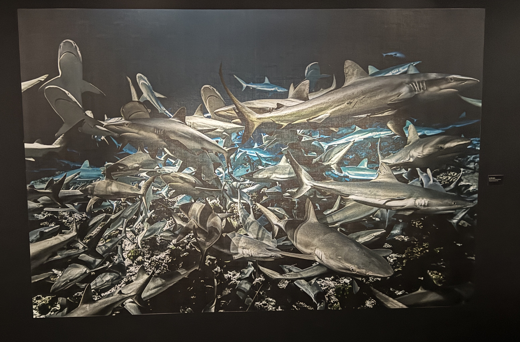 Exposition Laurent BALLESTA – Mers et Mystères