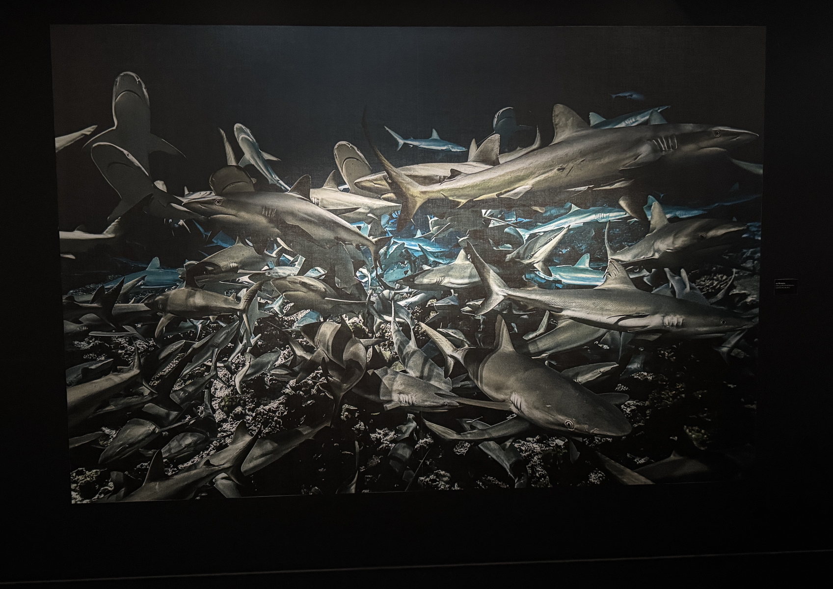 Exposition Laurent BALLESTA – Mers et Mystères