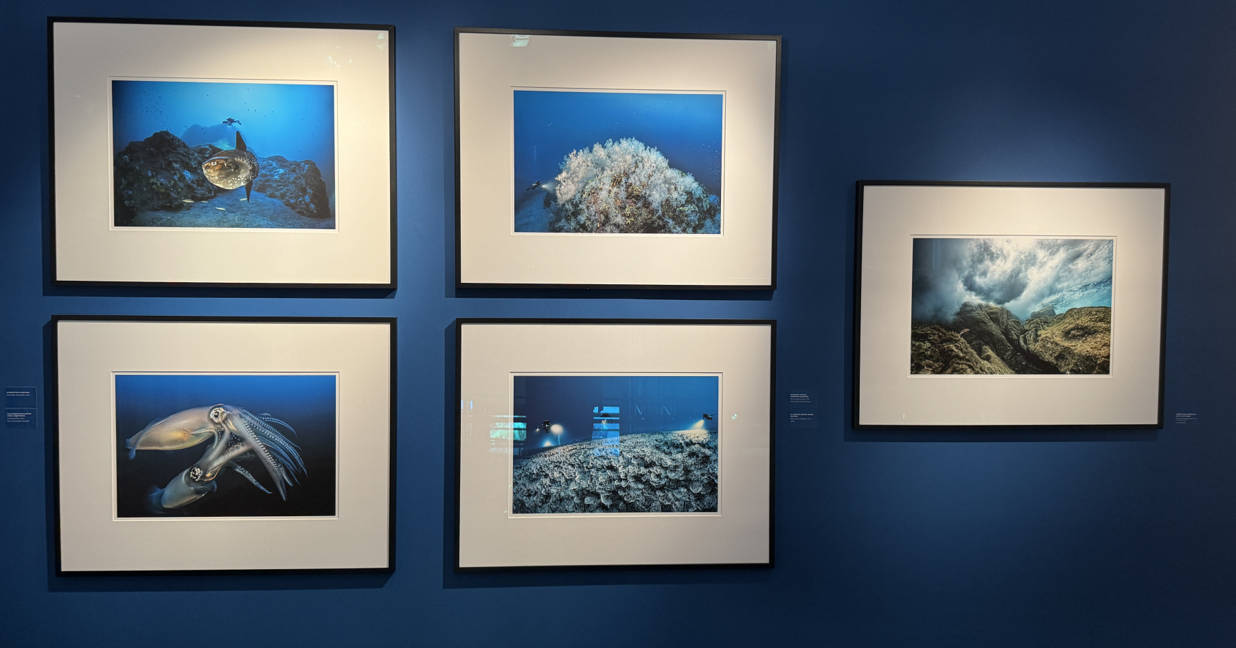 Exposition Laurent BALLESTA – Mers et Mystères