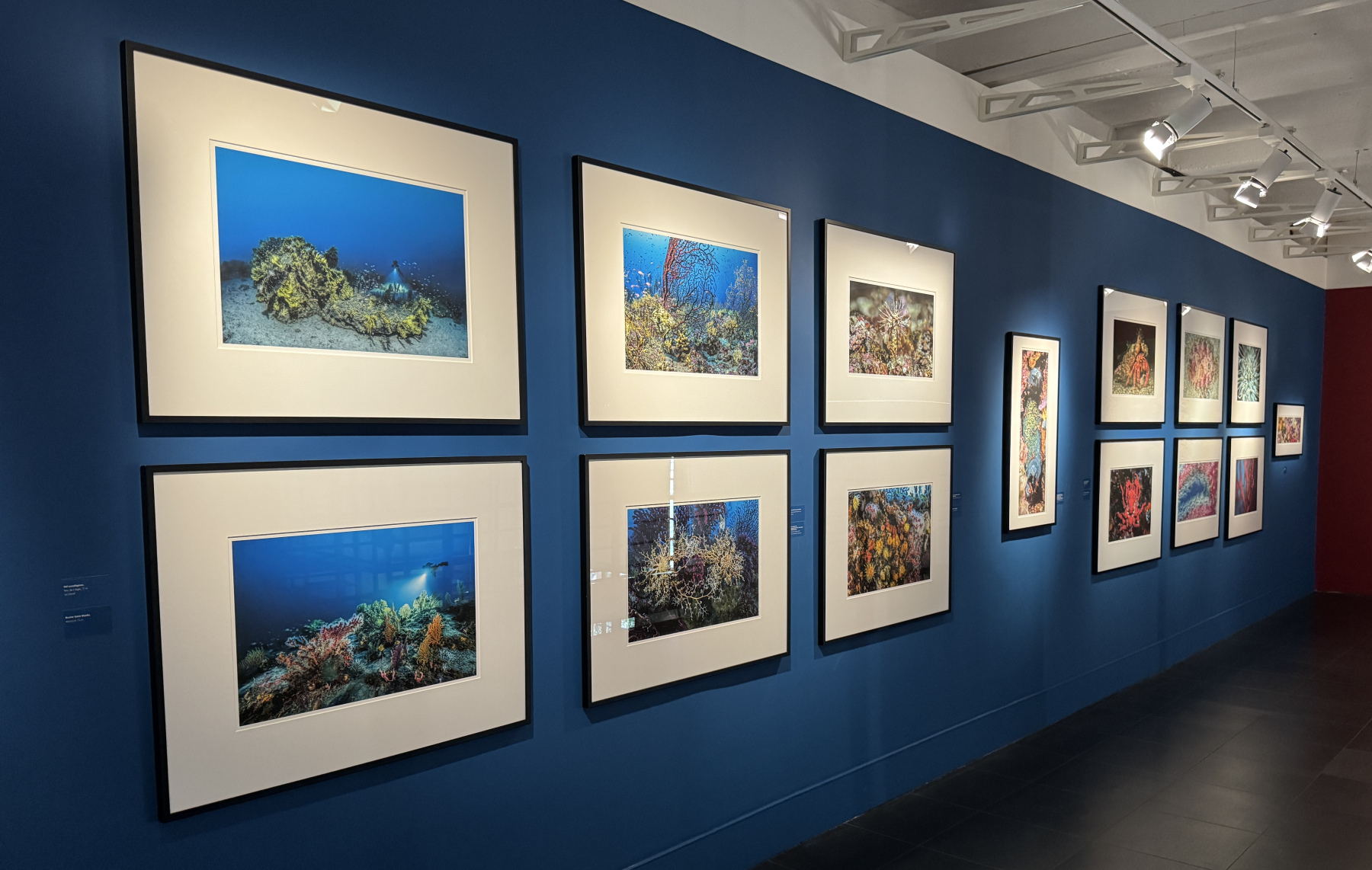 Exposition Laurent BALLESTA – Mers et Mystères