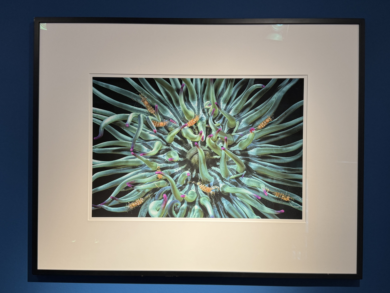 Exposition Laurent BALLESTA – Mers et Mystères