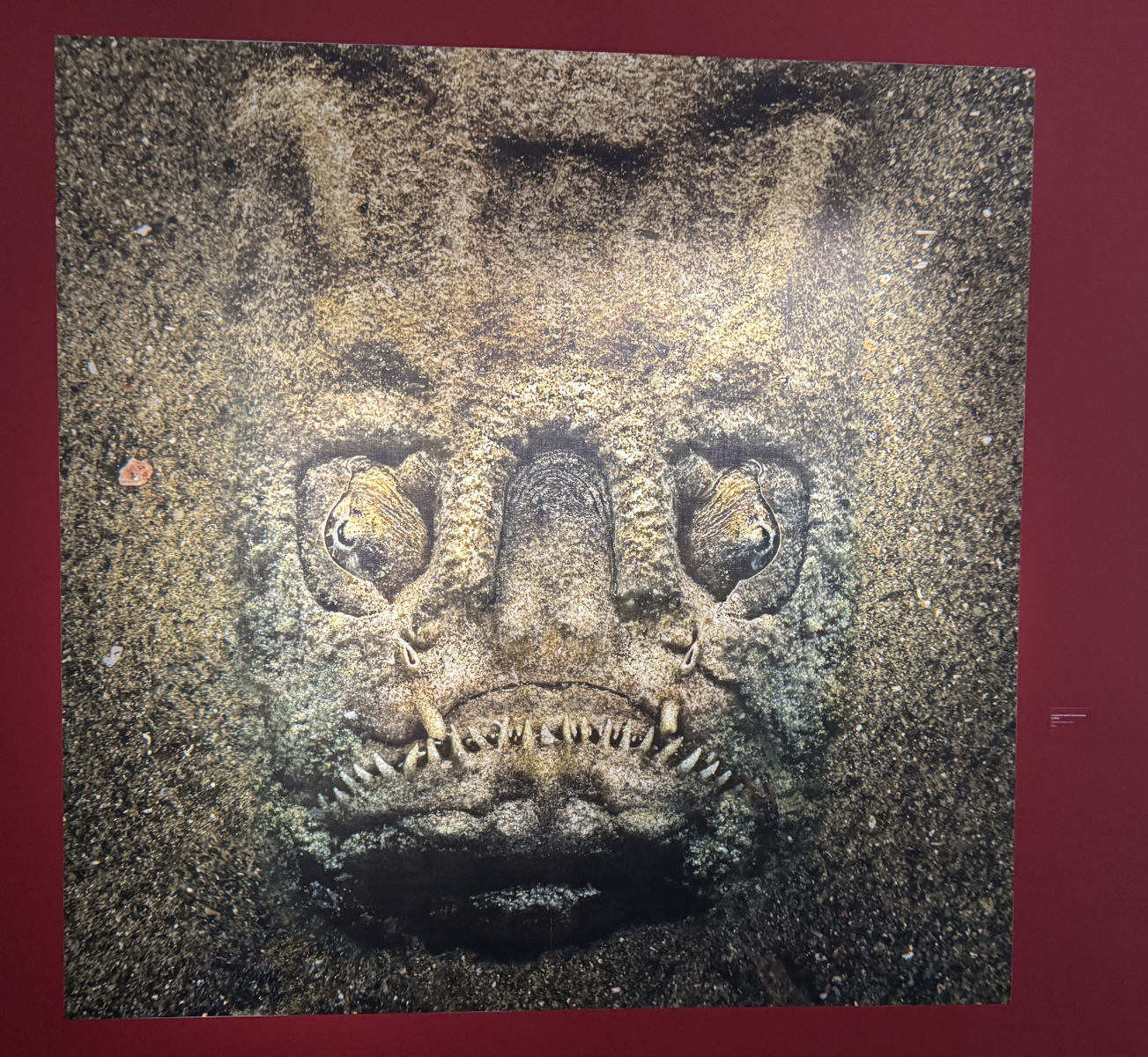 Exposition Laurent BALLESTA – Mers et Mystères