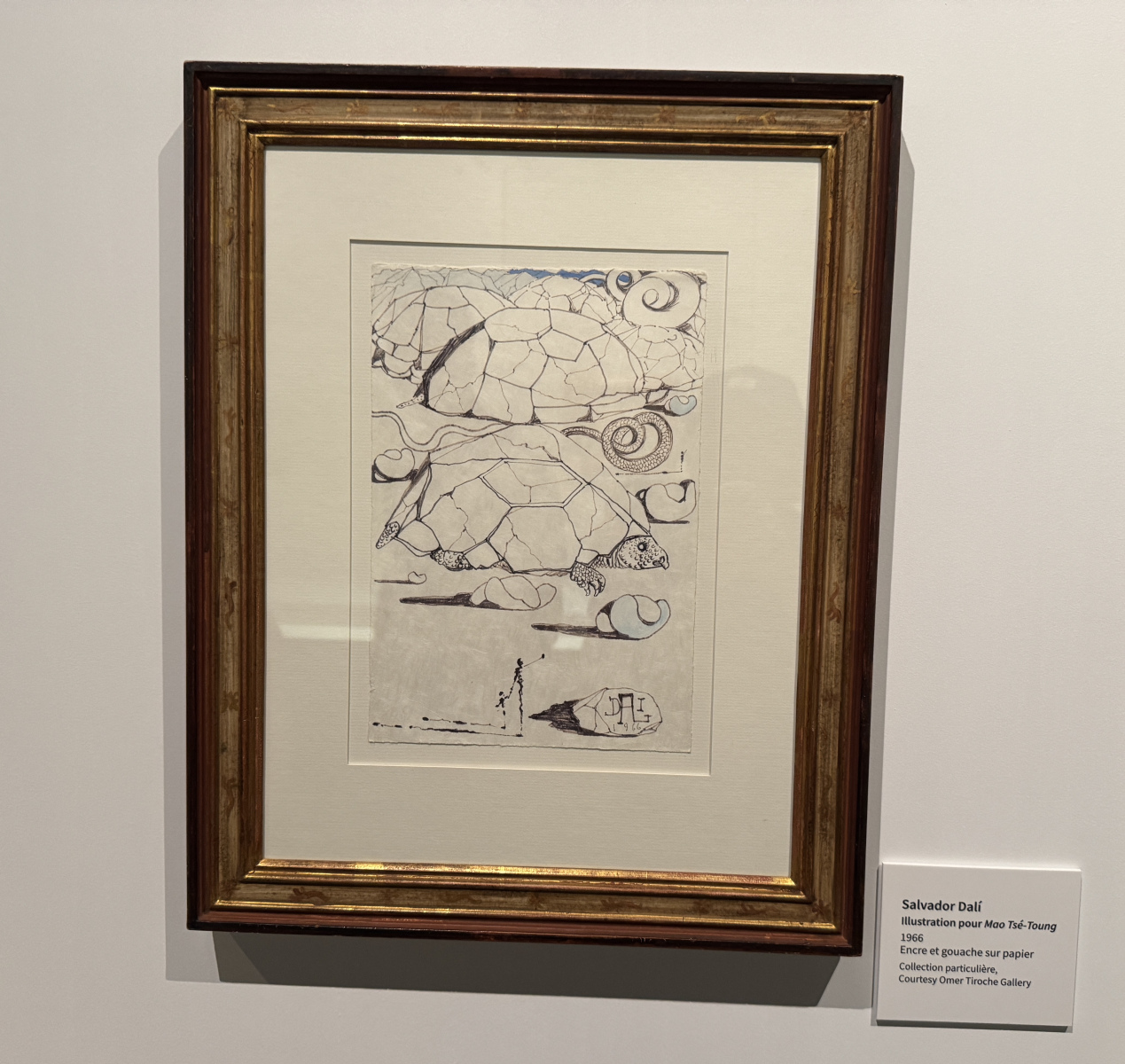 Exposition Salvador Dali – Divines Créatures