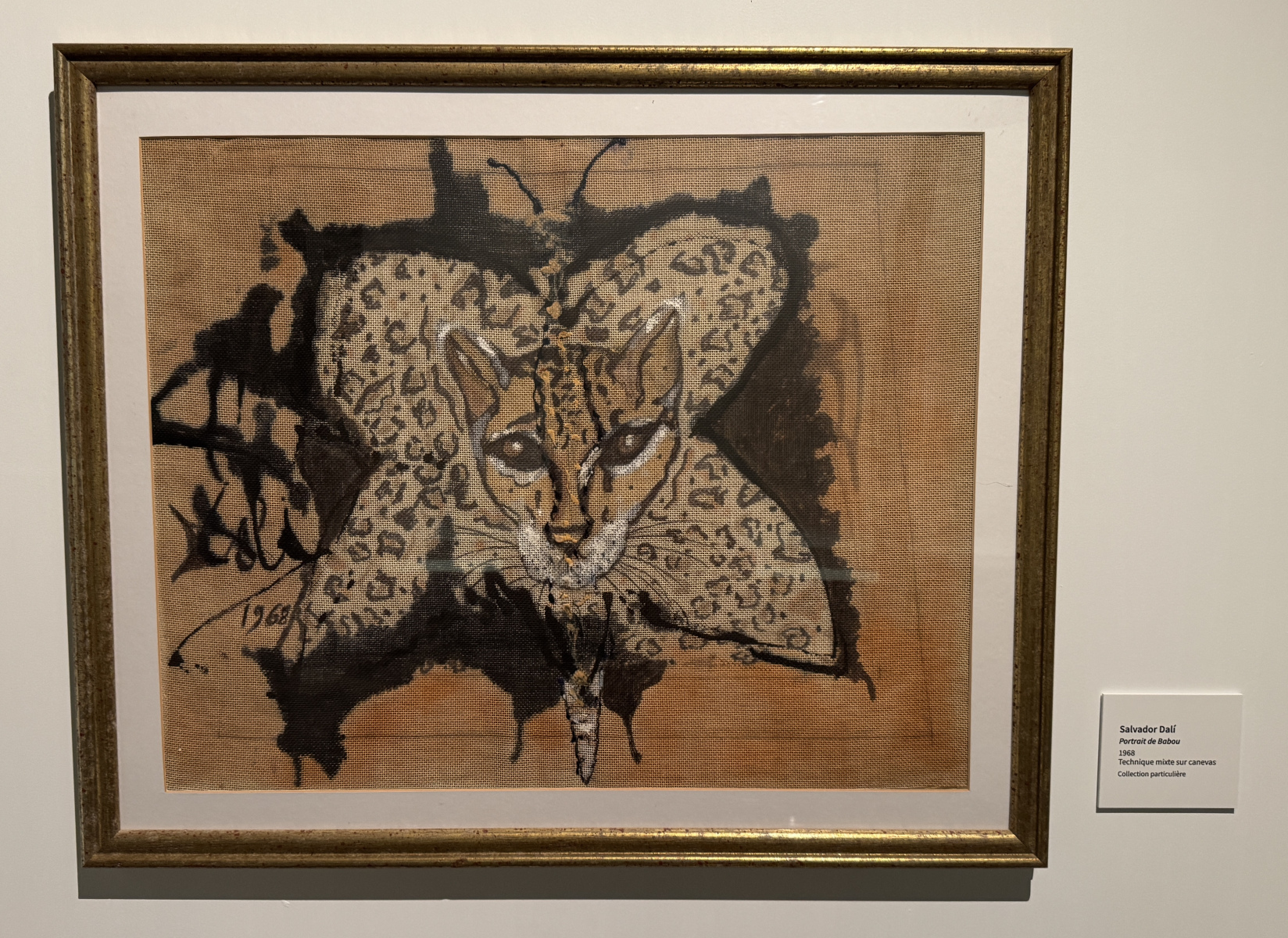Exposition Salvador Dali – Divines Créatures