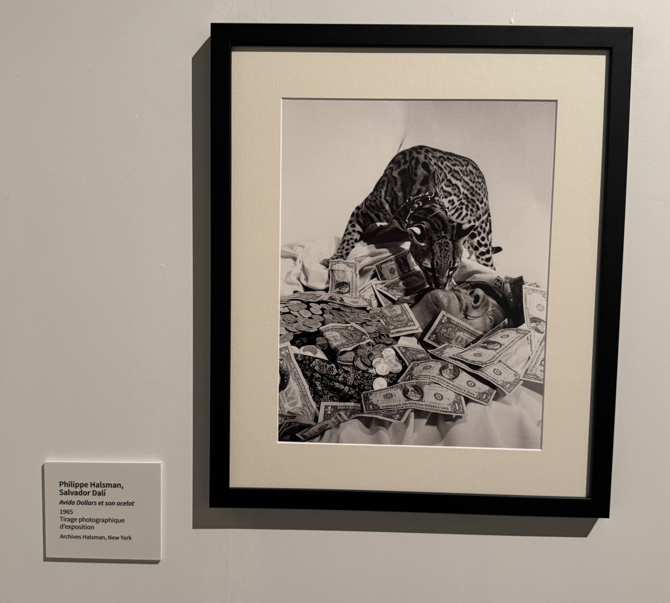 Exposition Salvador Dali – Divines Créatures