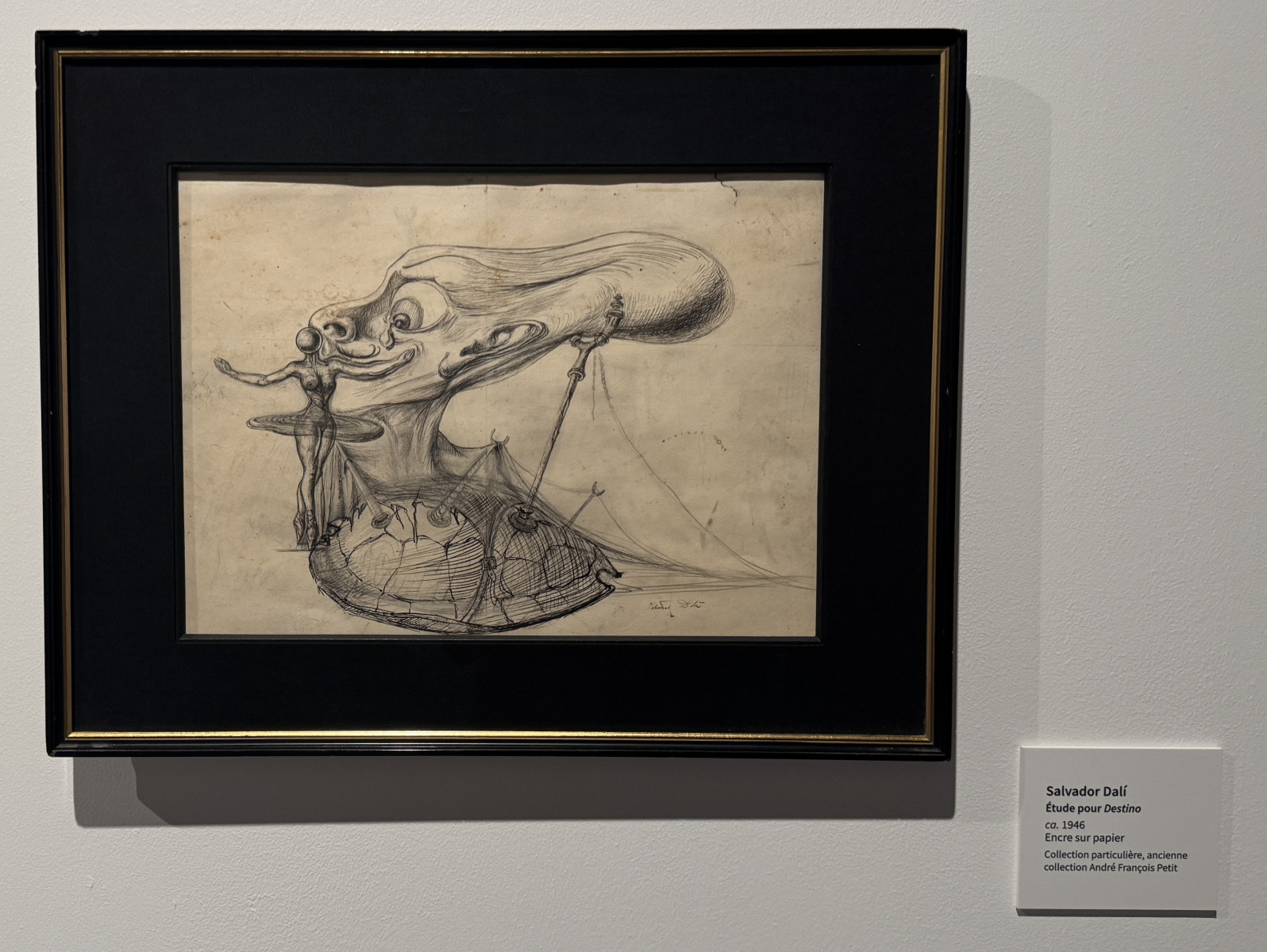 Exposition Salvador Dali – Divines Créatures