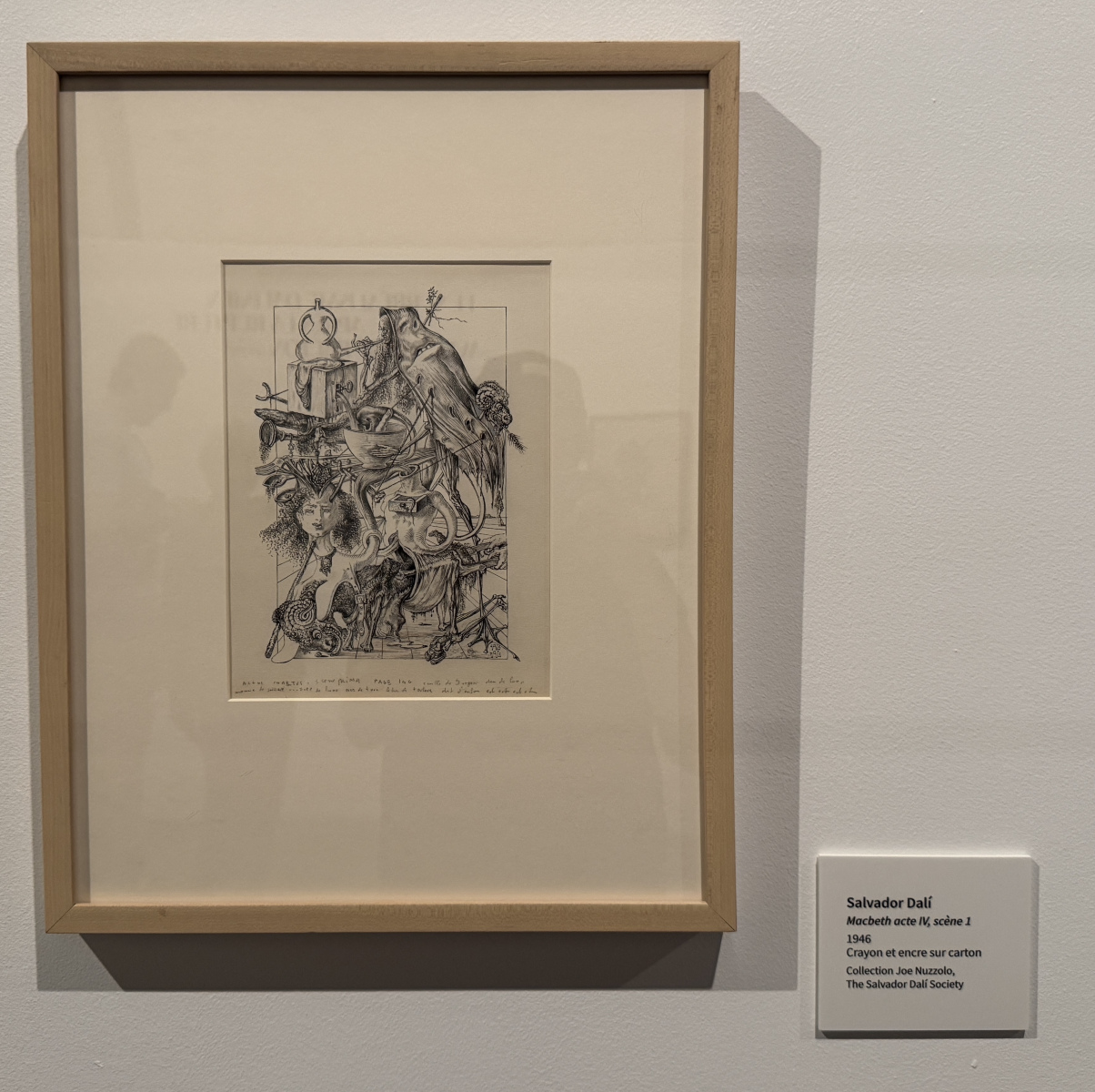 Exposition Salvador Dali – Divines Créatures