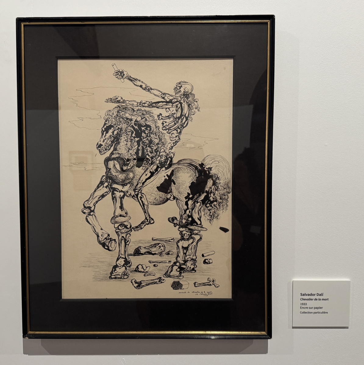 Exposition Salvador Dali – Divines Créatures